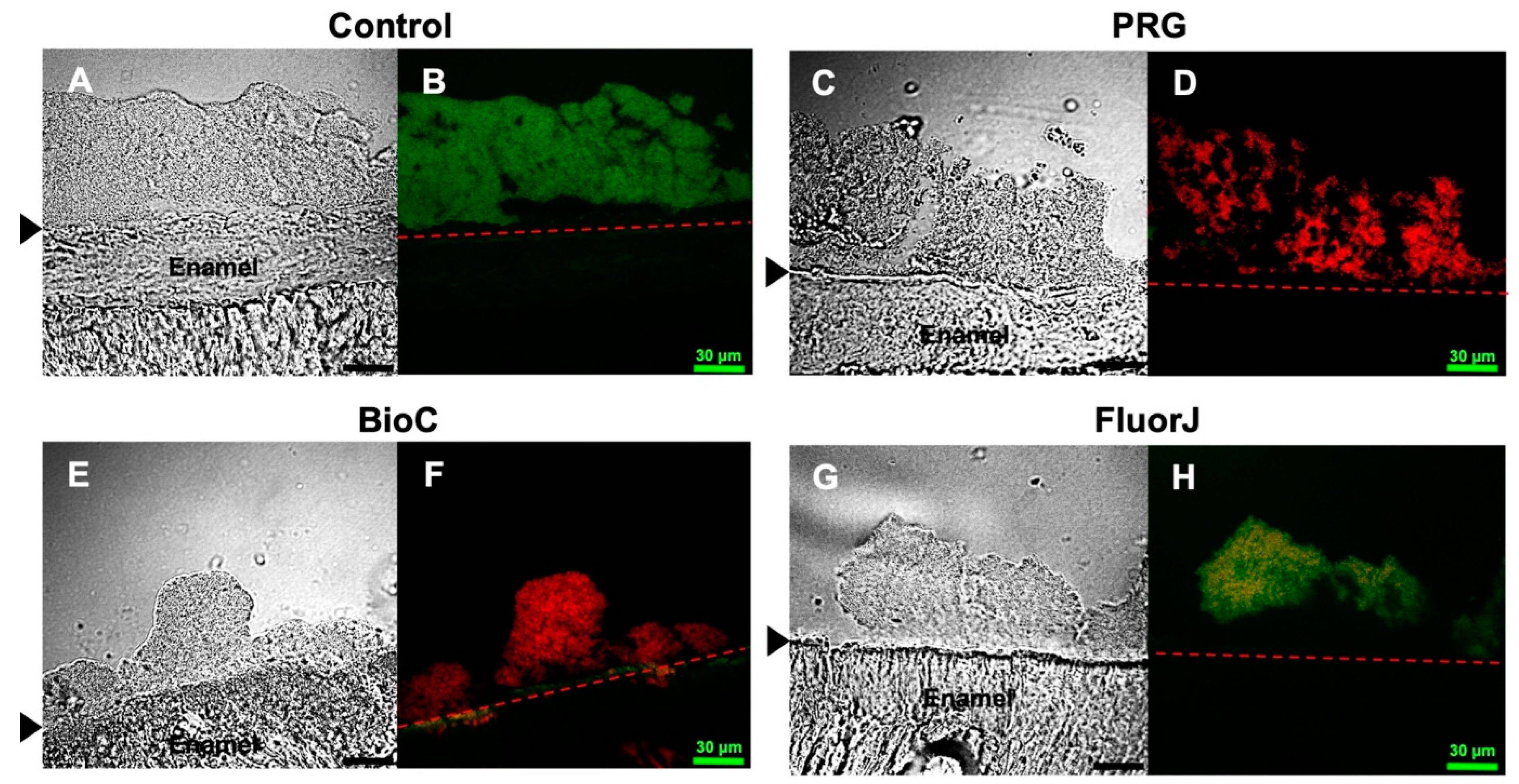 Antibiotics 13 00106 g002