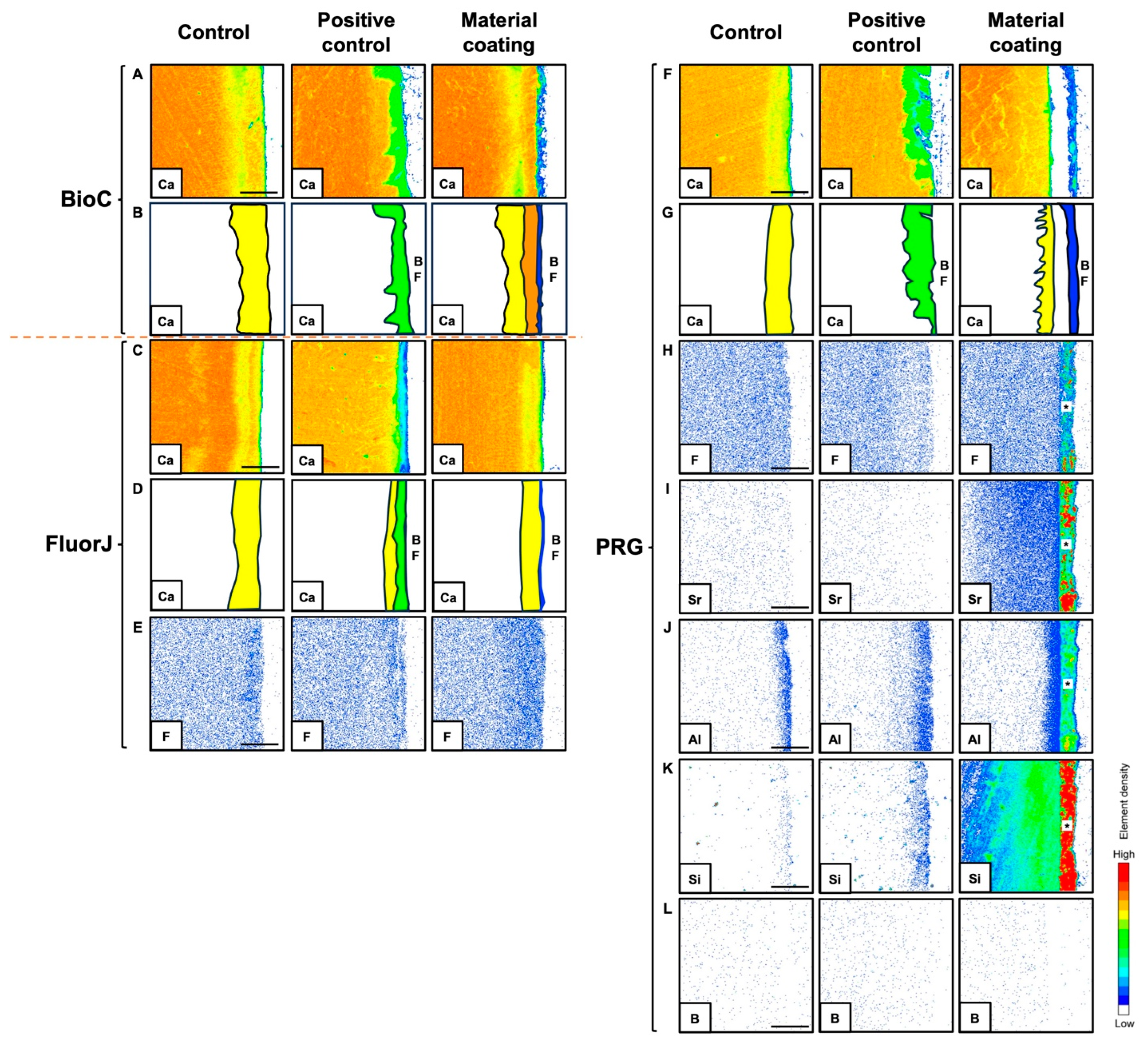 Antibiotics 13 00106 g008
