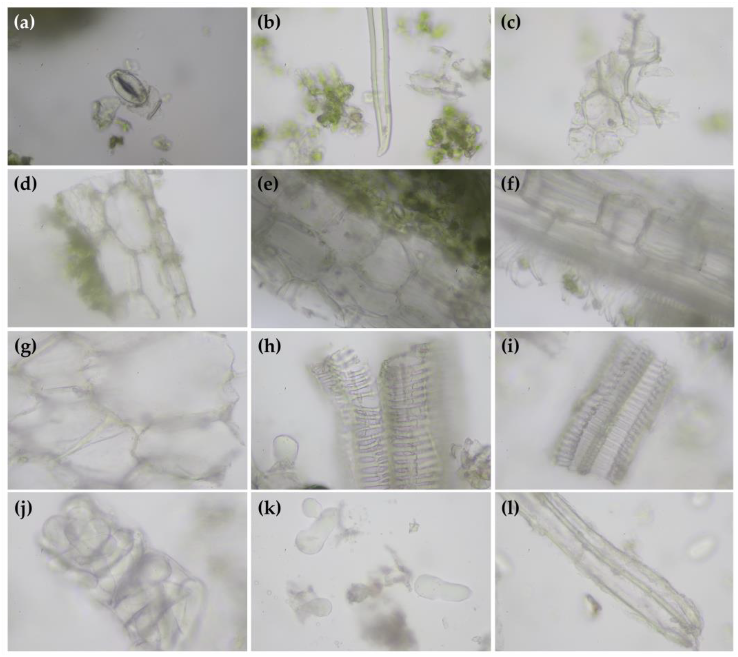 Antibiotics 13 00108 g001