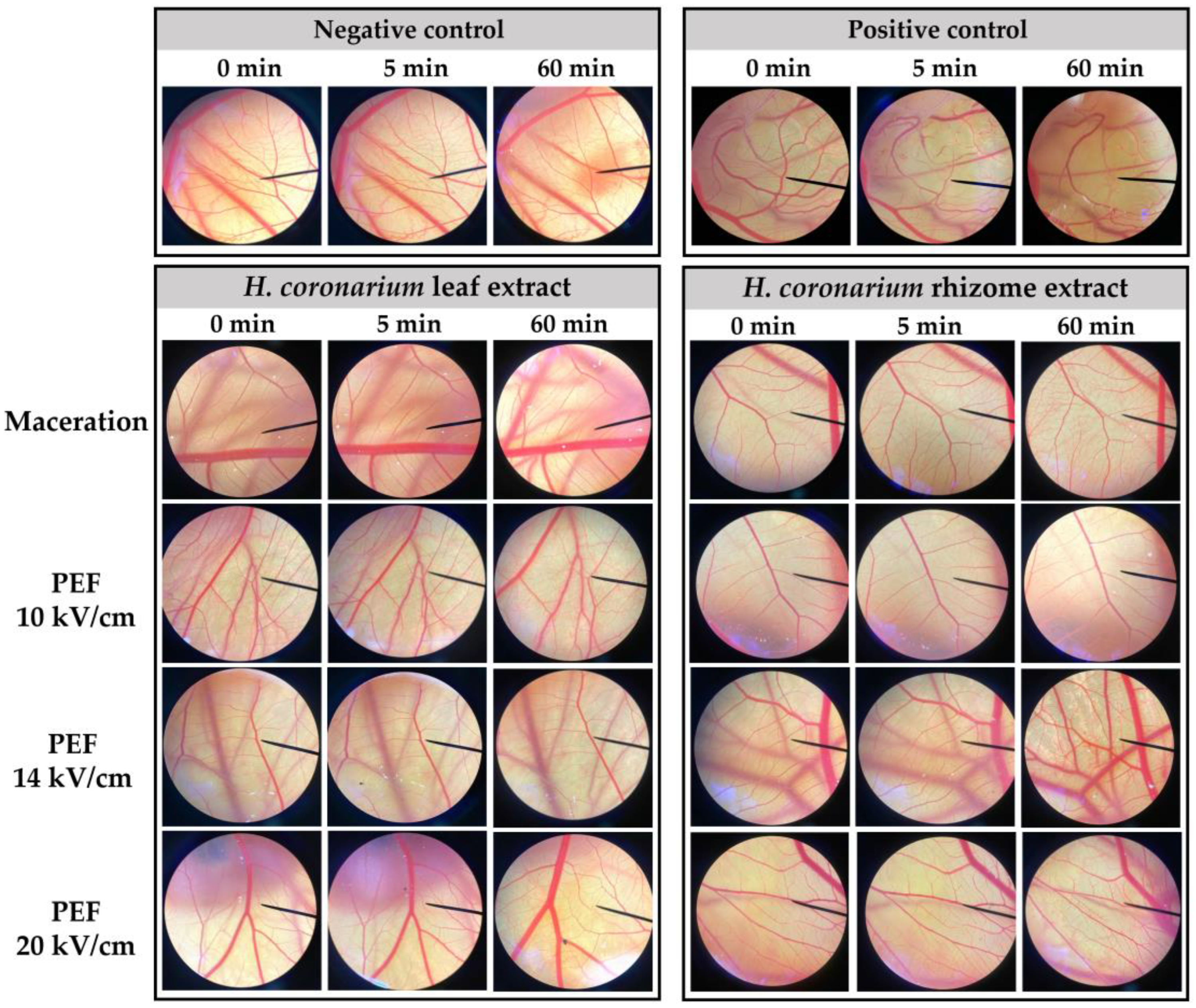 Antibiotics 13 00108 g004