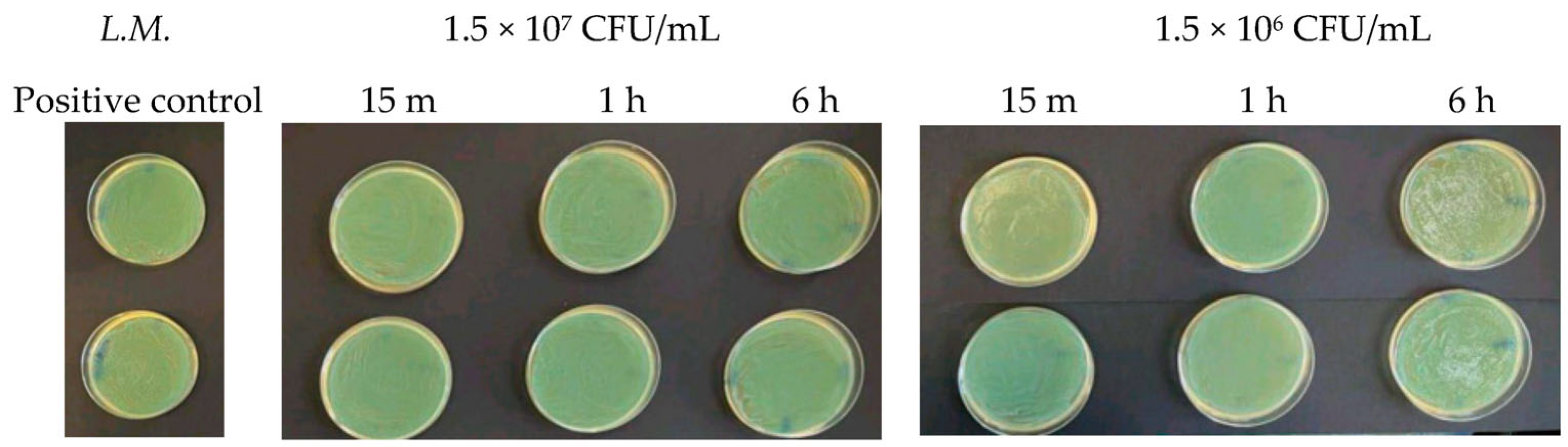 Antibiotics 13 00109 g001 Antibiotics 13 00109 g001
