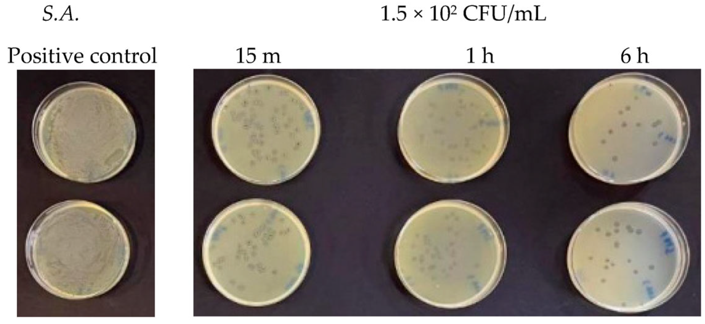 Antibiotics 13 00109 g005 Antibiotics 13 00109 g005