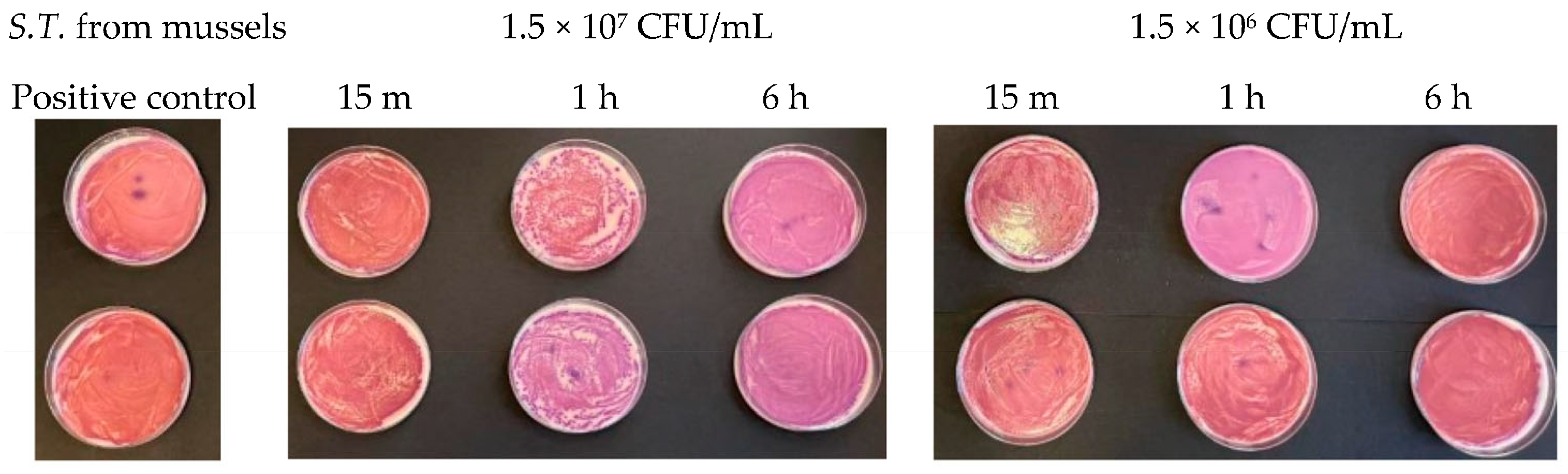 Antibiotics 13 00109 g008 Antibiotics 13 00109 g008
