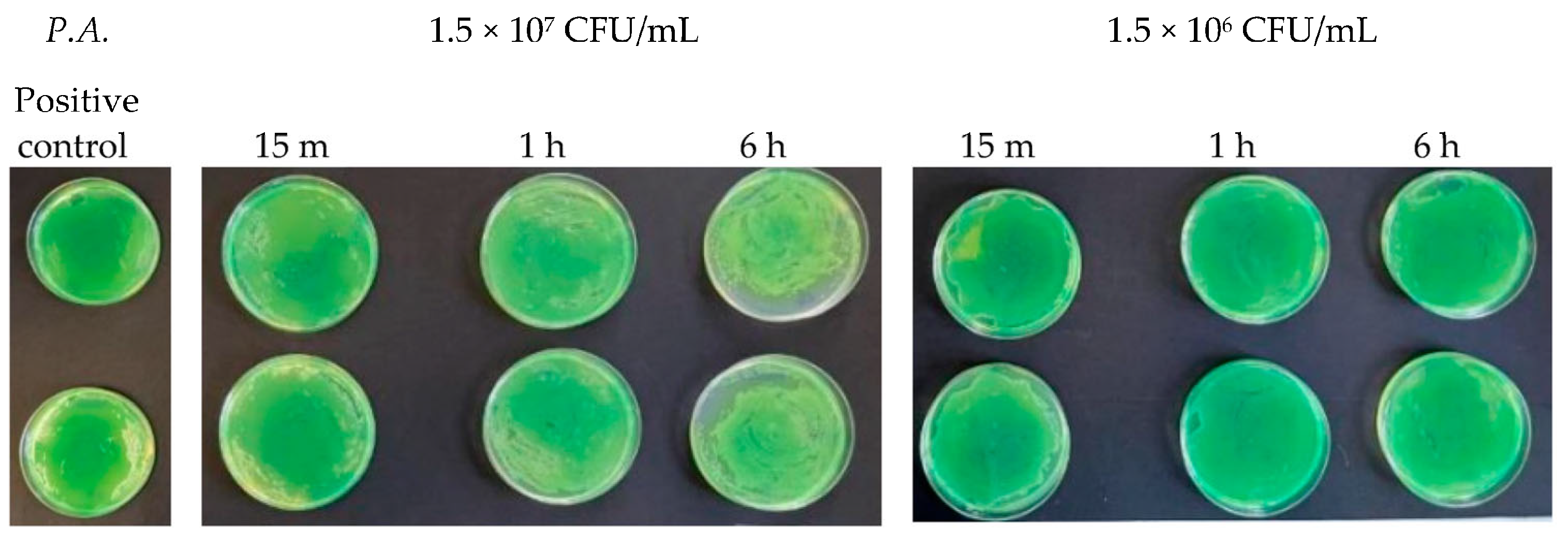 Antibiotics 13 00109 g011 Antibiotics 13 00109 g011