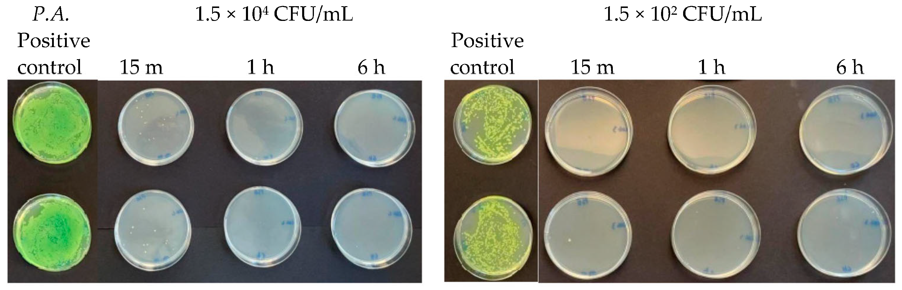 Antibiotics 13 00109 g012 Antibiotics 13 00109 g012