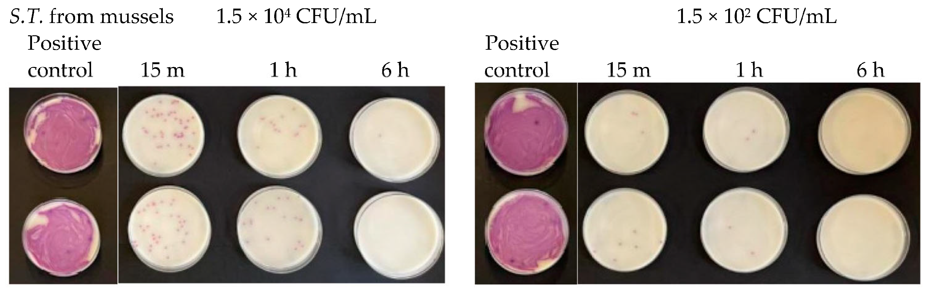 Antibiotics 13 00109 g014 Antibiotics 13 00109 g014