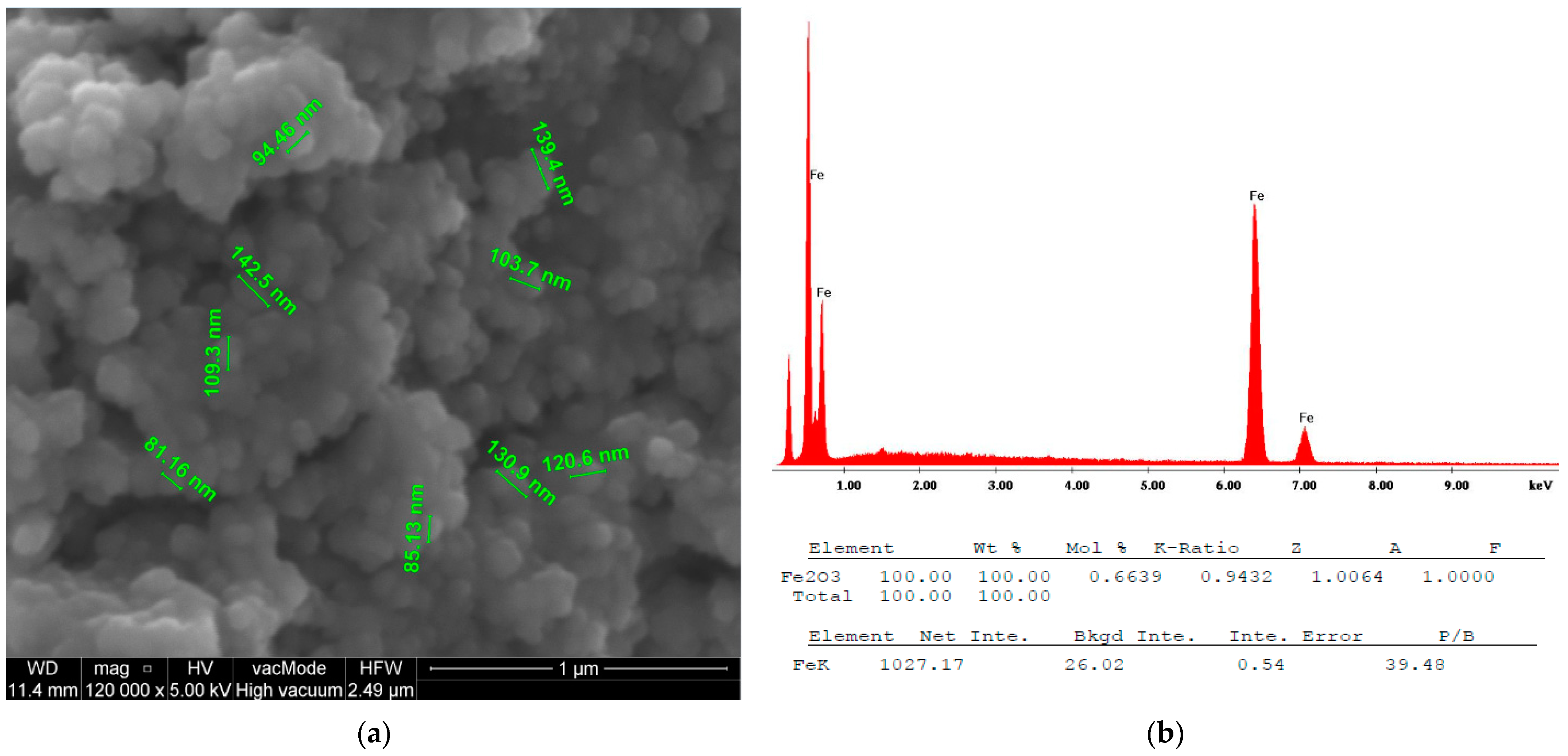 Antibiotics 13 00111 g005