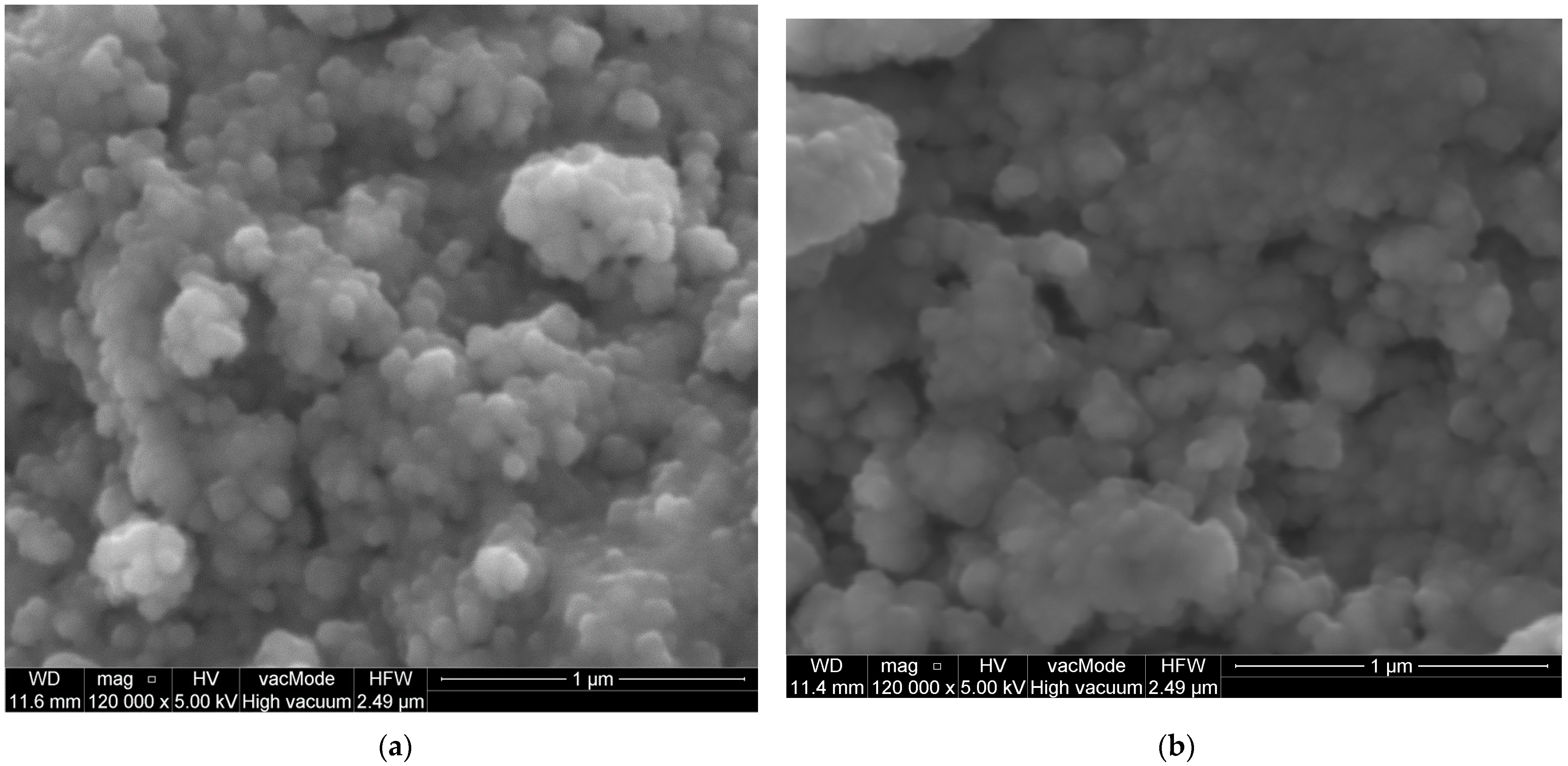 Antibiotics 13 00111 g007