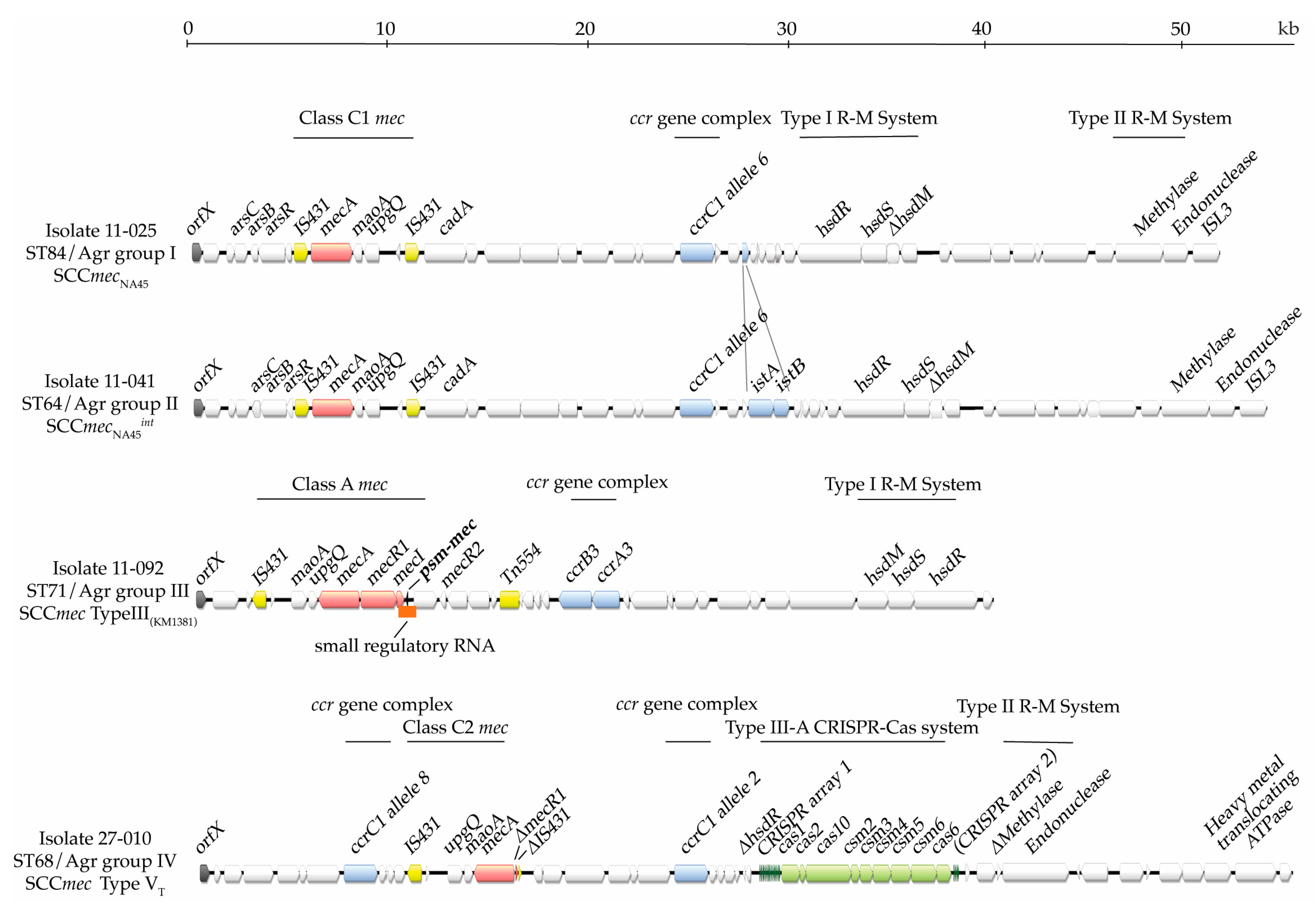 Antibiotics 13 00130 g001