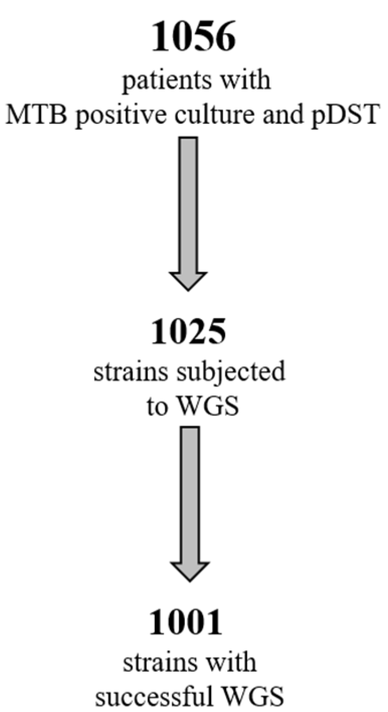 Antibiotics 13 00134 g001