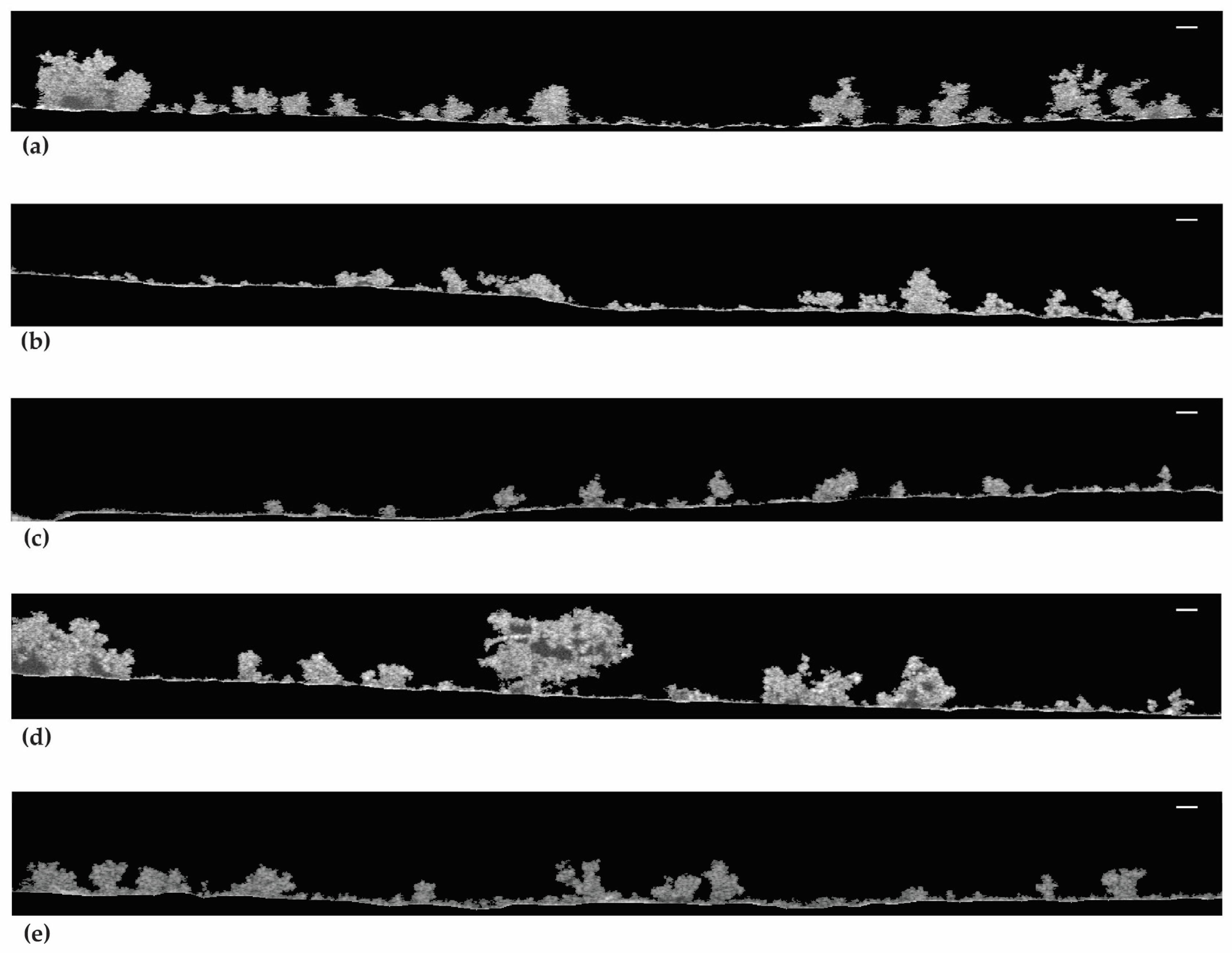 Antibiotics 13 00140 g006