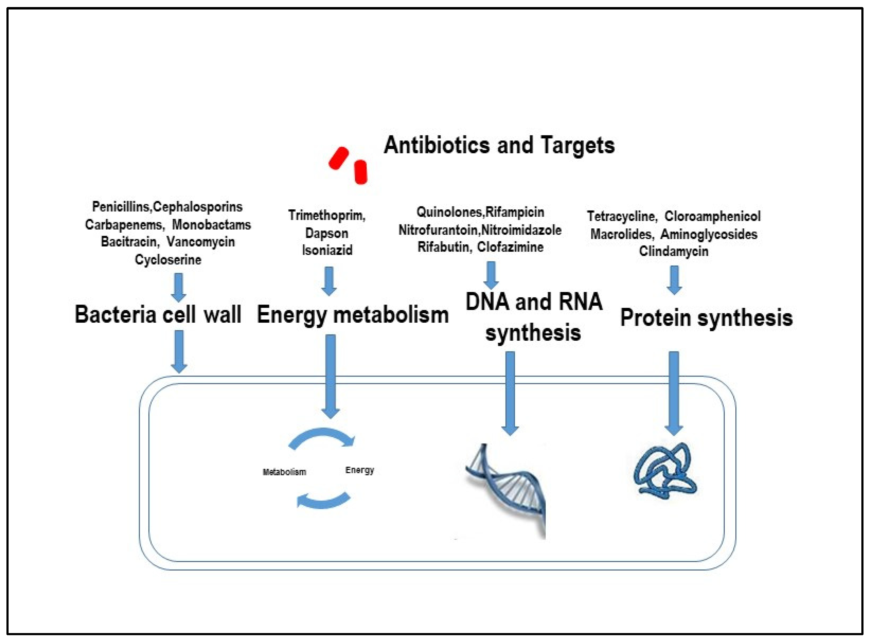 Antibiotics | Free Full-Text | Antibiotic Therapy for Active Crohn’s  Disease Targeting Pathogens: An Overview and Update