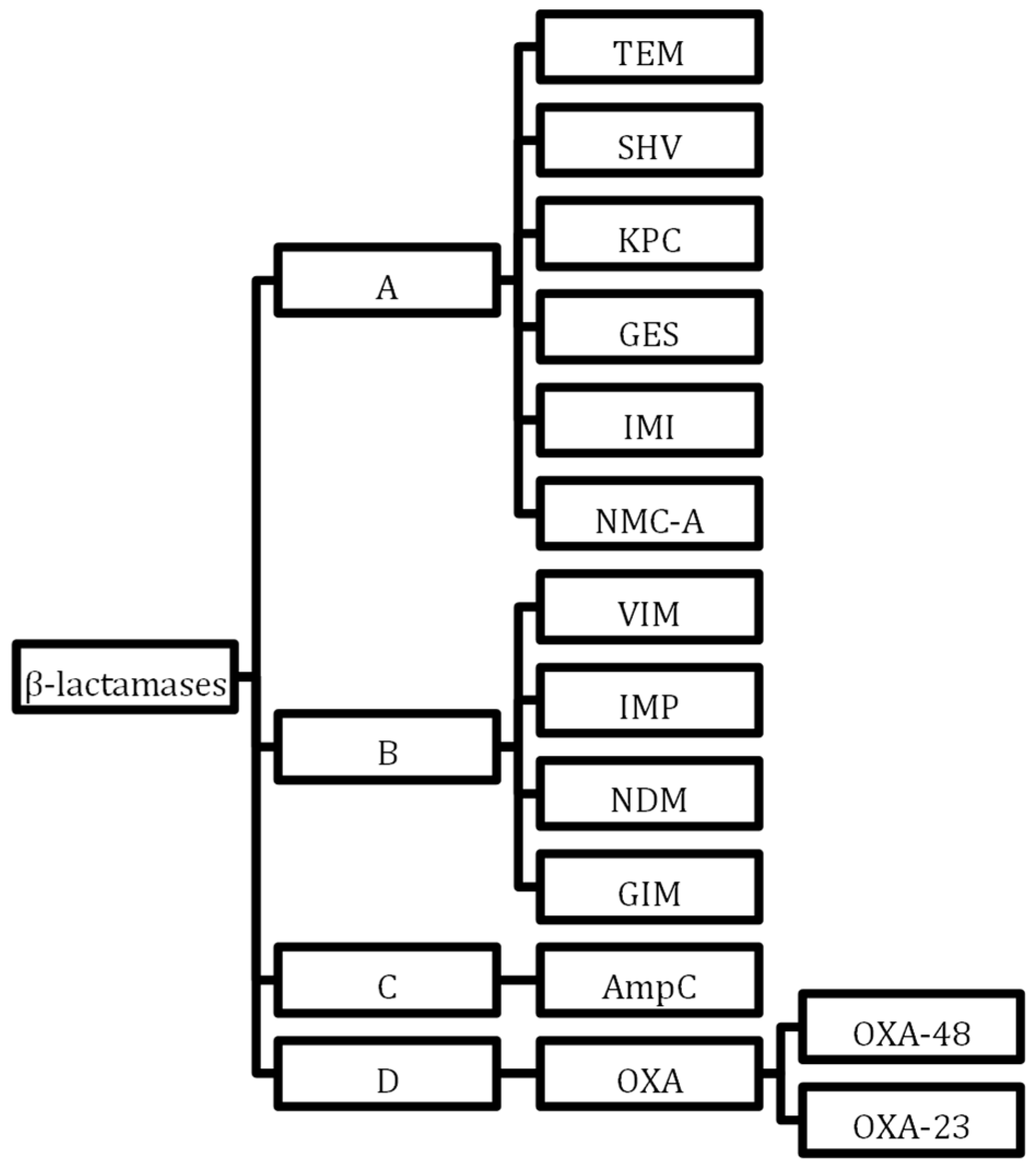 Antibiotics 13 00162 g002