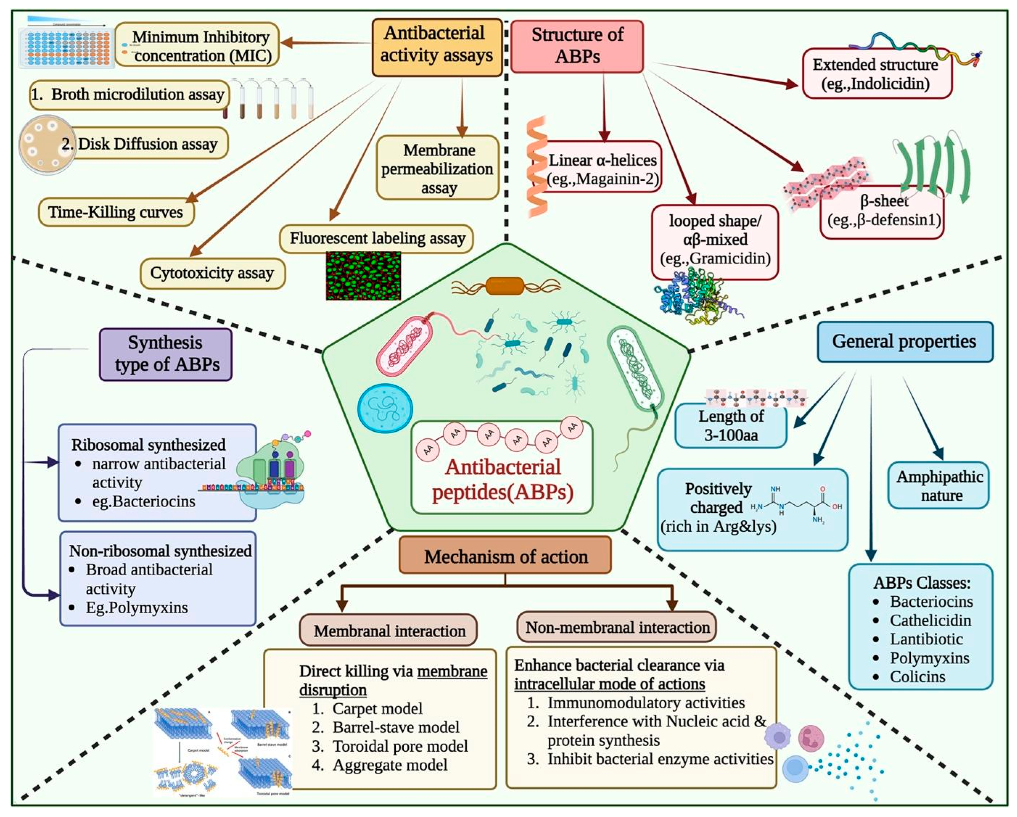 Antibiotics 13 00168 g001