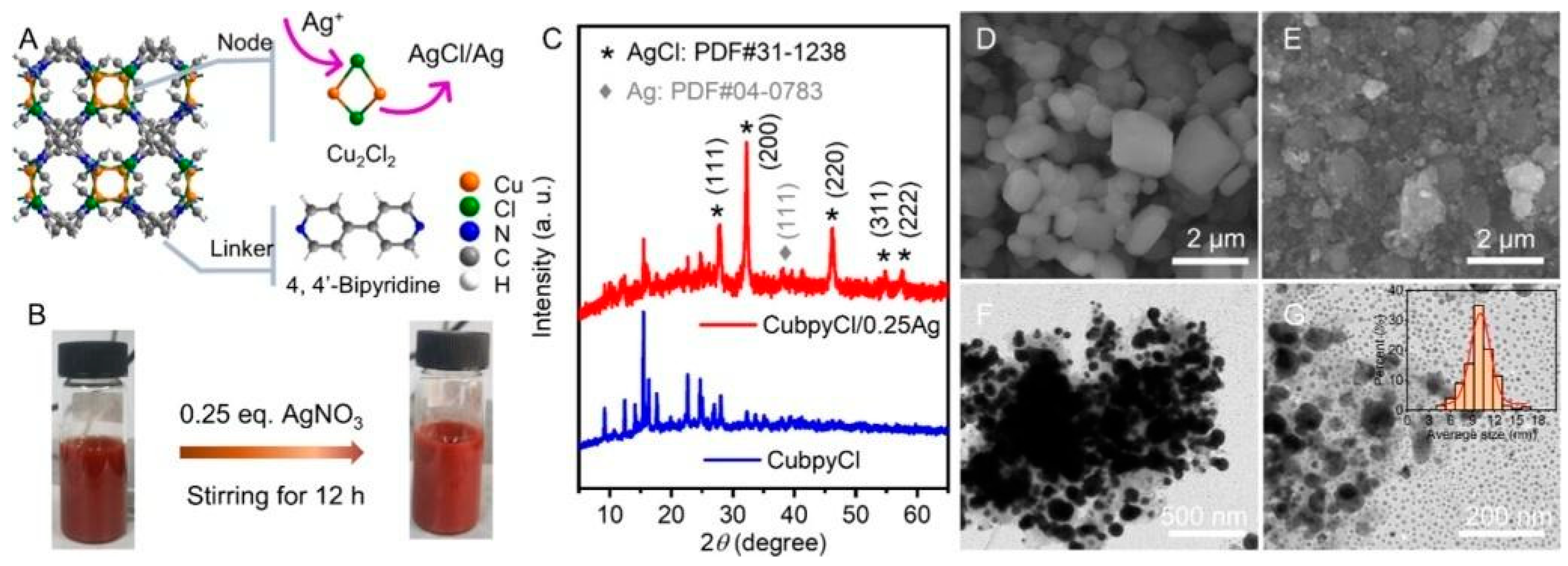 Antibiotics 13 00173 g003