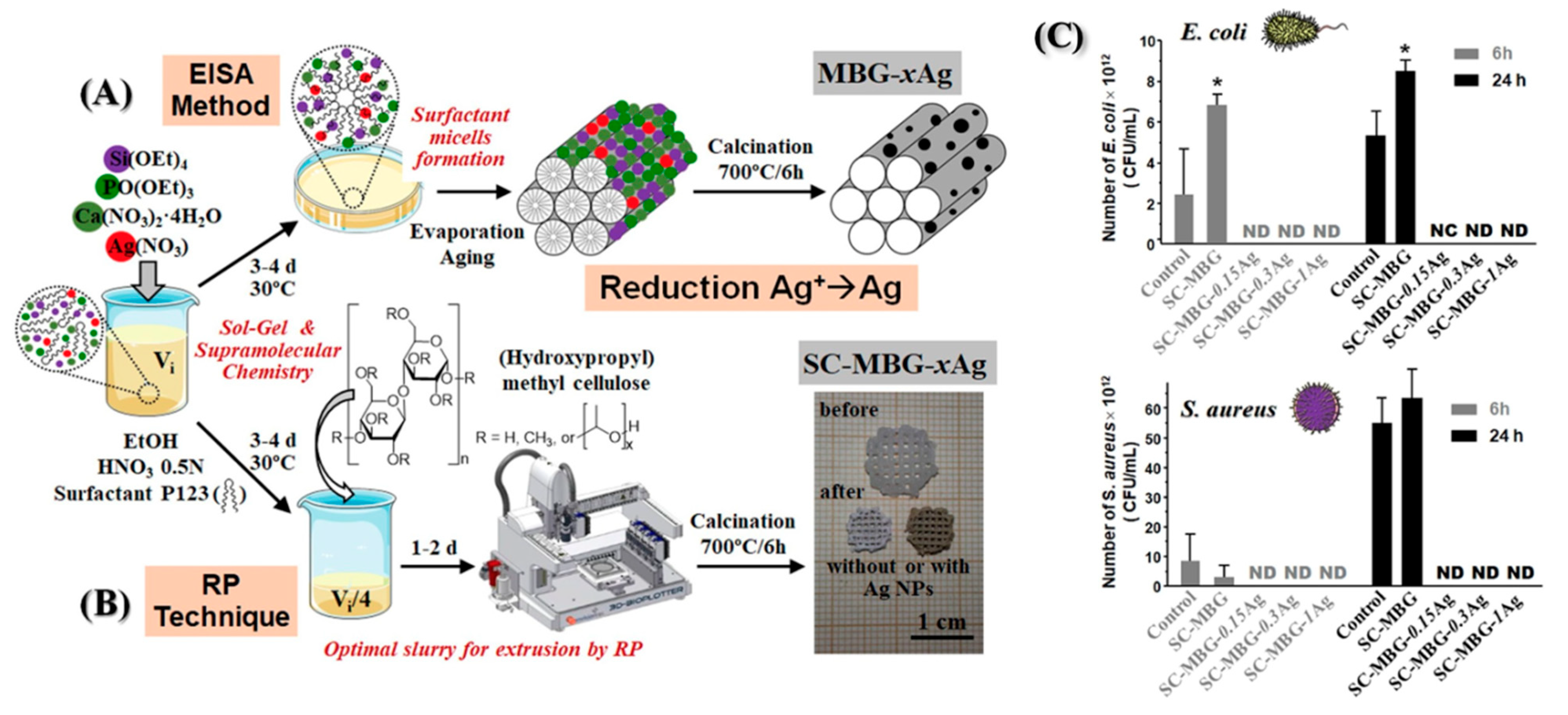 Antibiotics 13 00173 g011