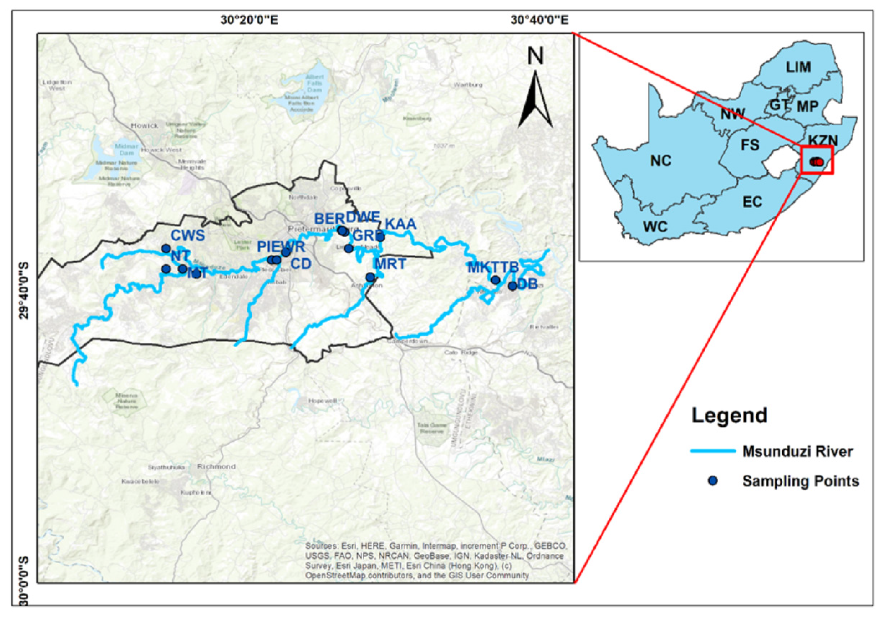 Antibiotics 13 00174 g001