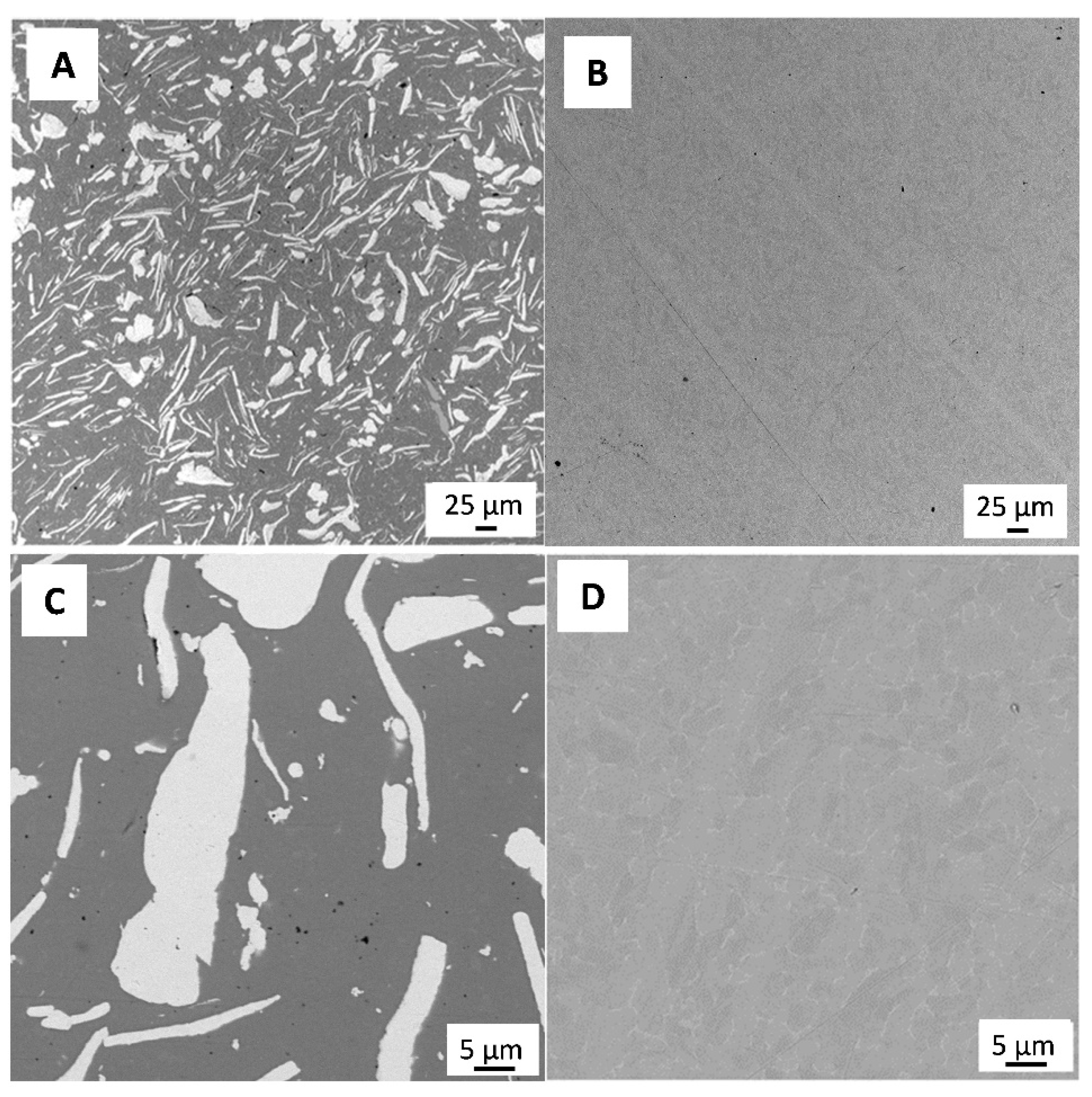 Antibiotics 13 00175 g001