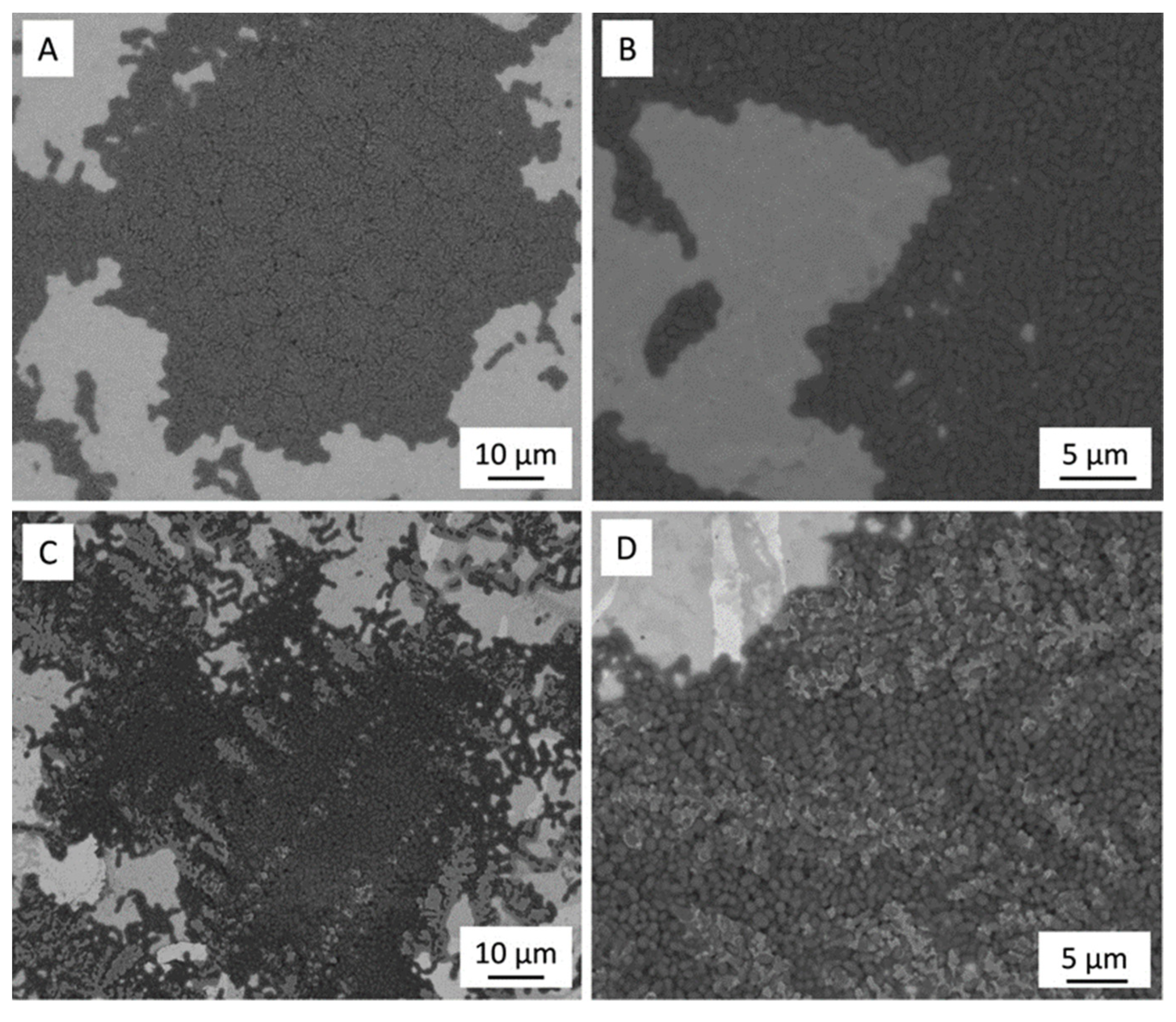 Antibiotics 13 00175 g006