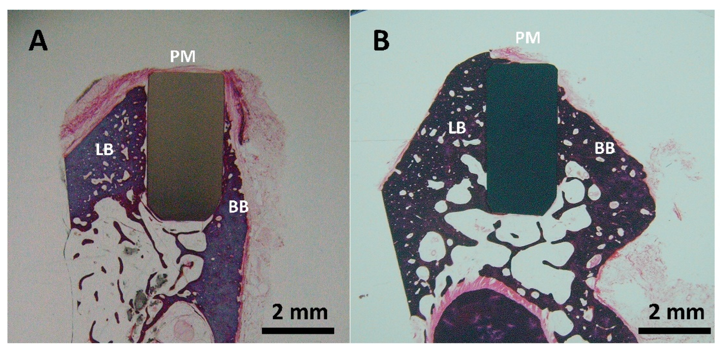 Antibiotics 13 00175 g008
