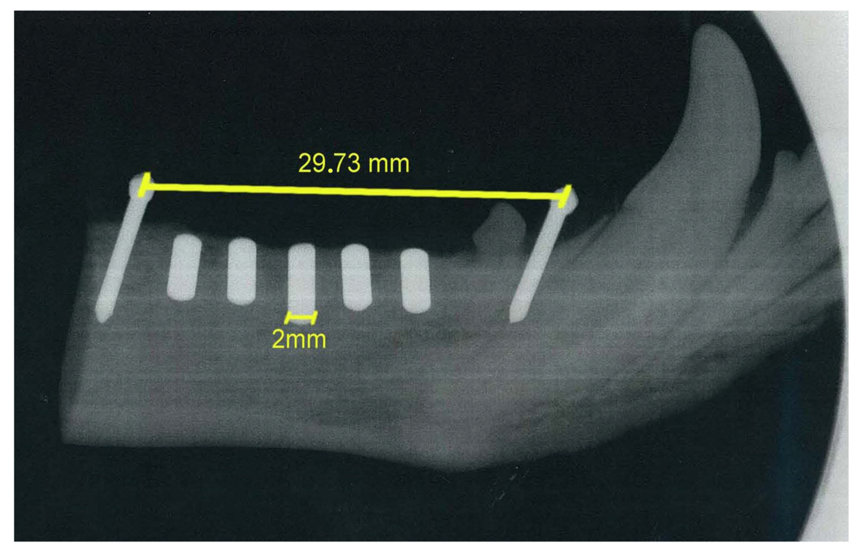 Antibiotics 13 00175 g009