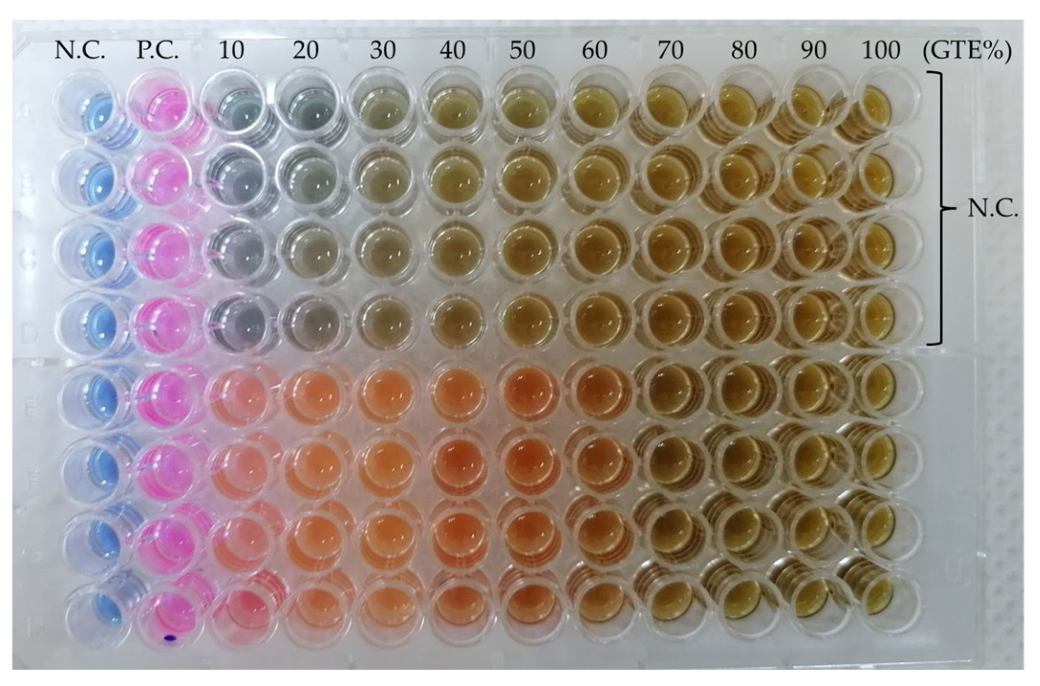 Antibiotics 13 00181 g002