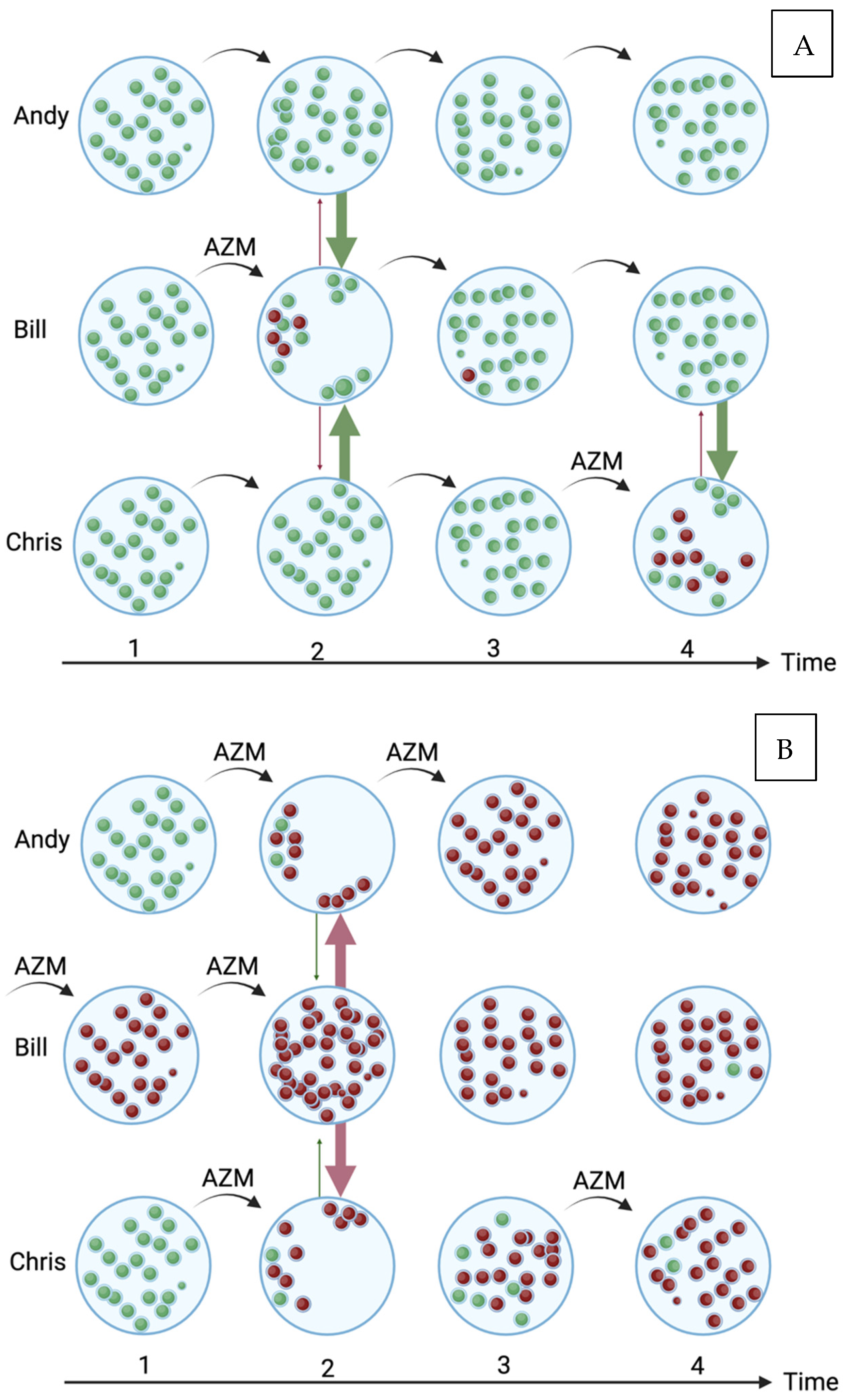 Antibiotics 13 00188 g001