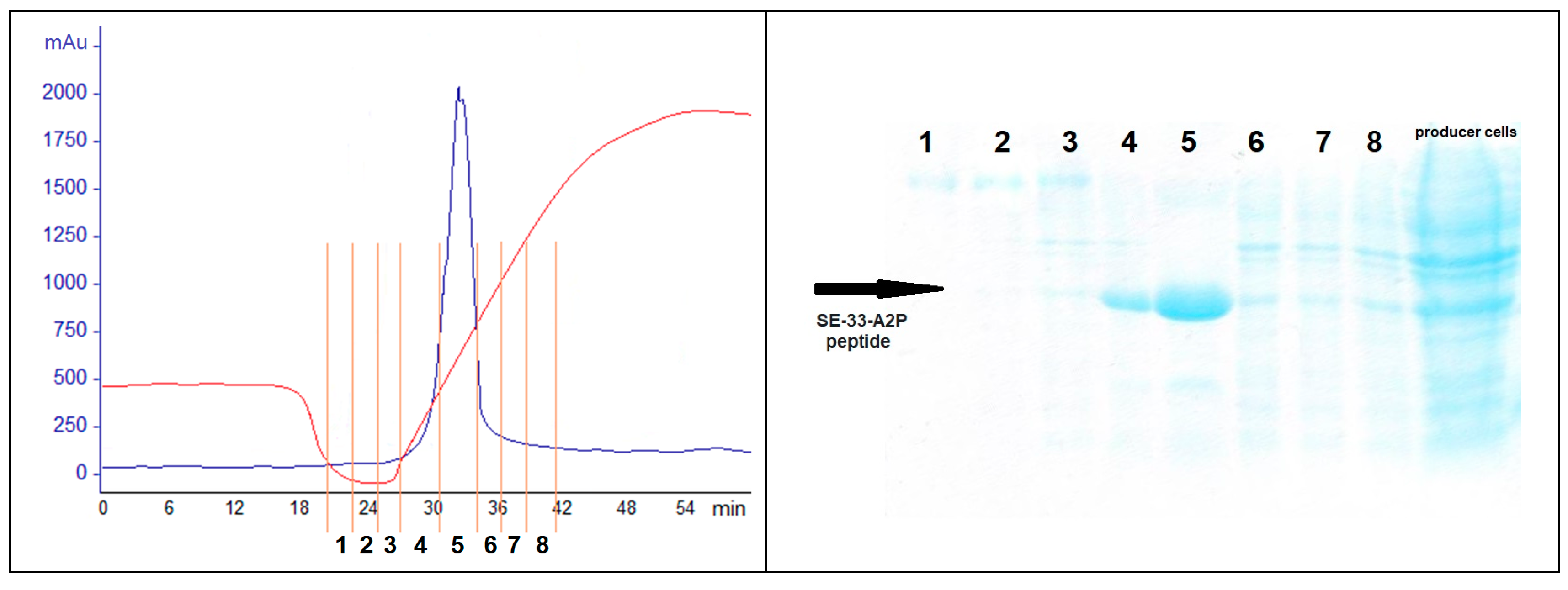 Antibiotics 13 00190 g010