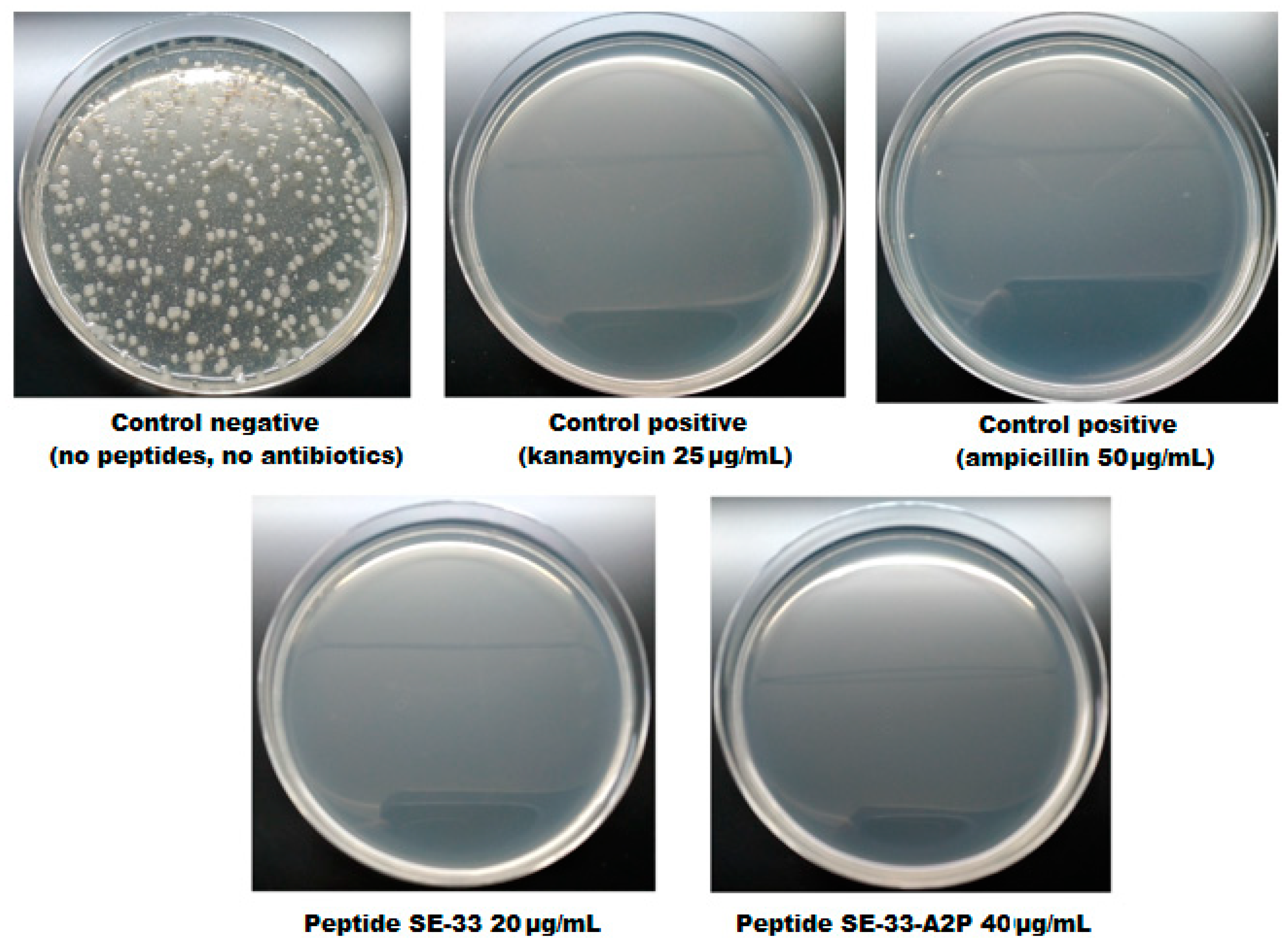 Antibiotics 13 00190 g013