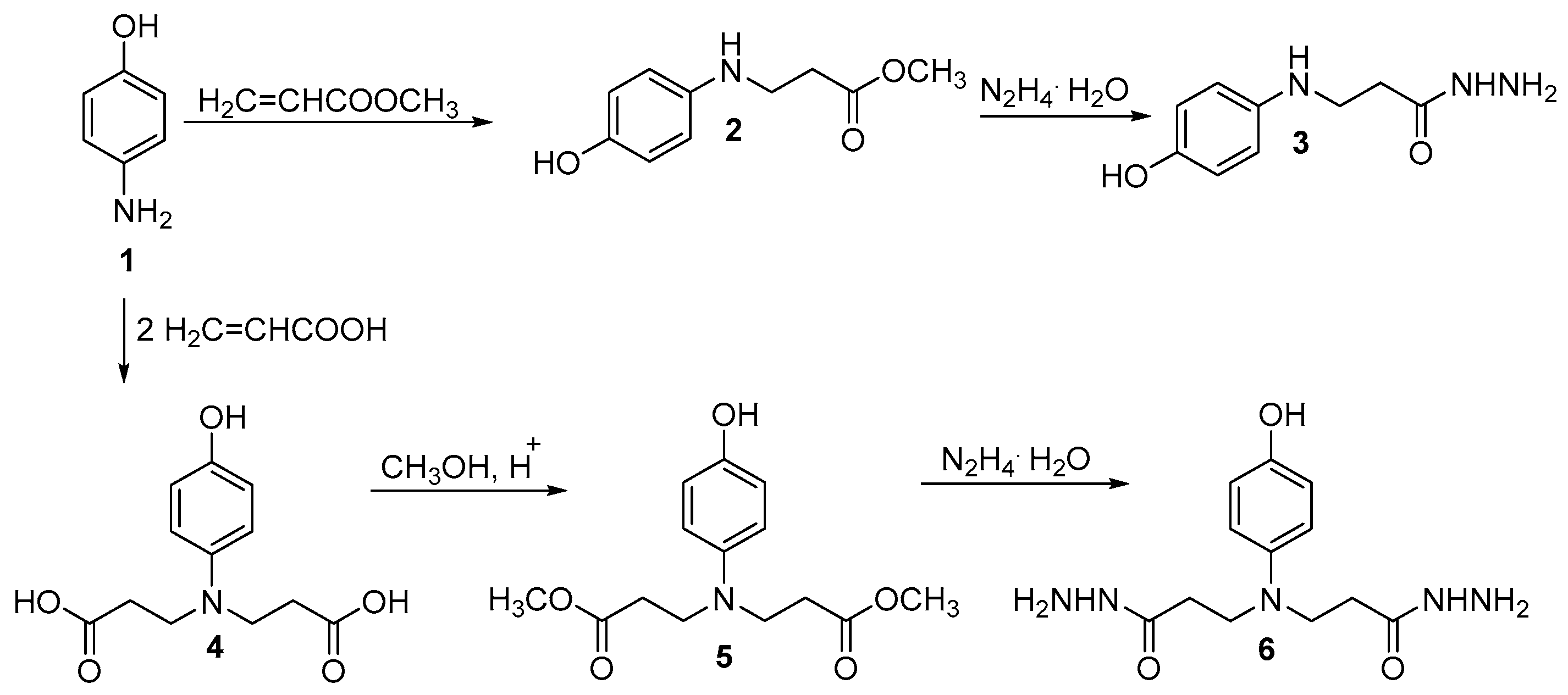 Antibiotics 13 00193 sch001 Antibiotics 13 00193 sch001