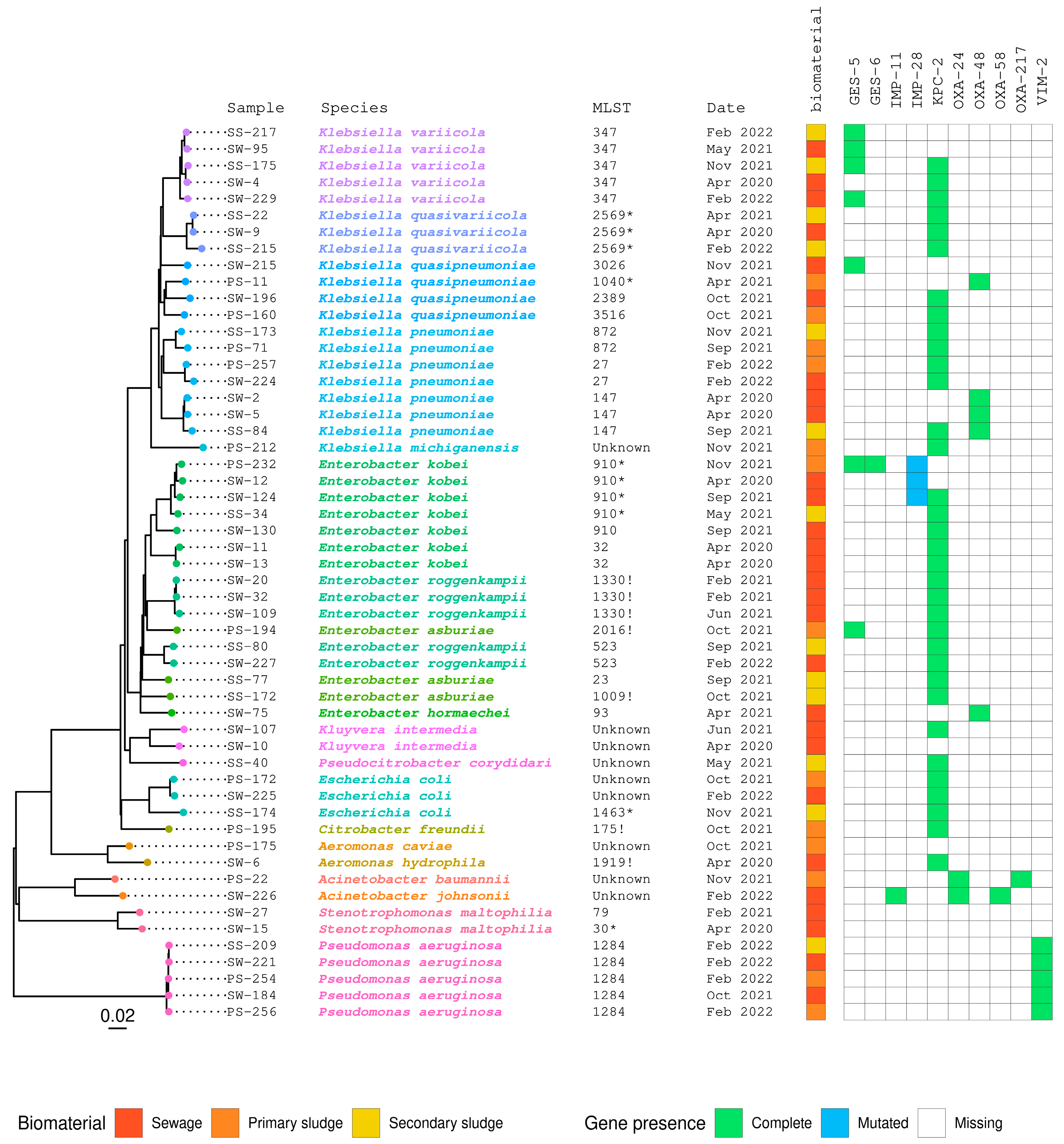 Antibiotics 13 00194 g004