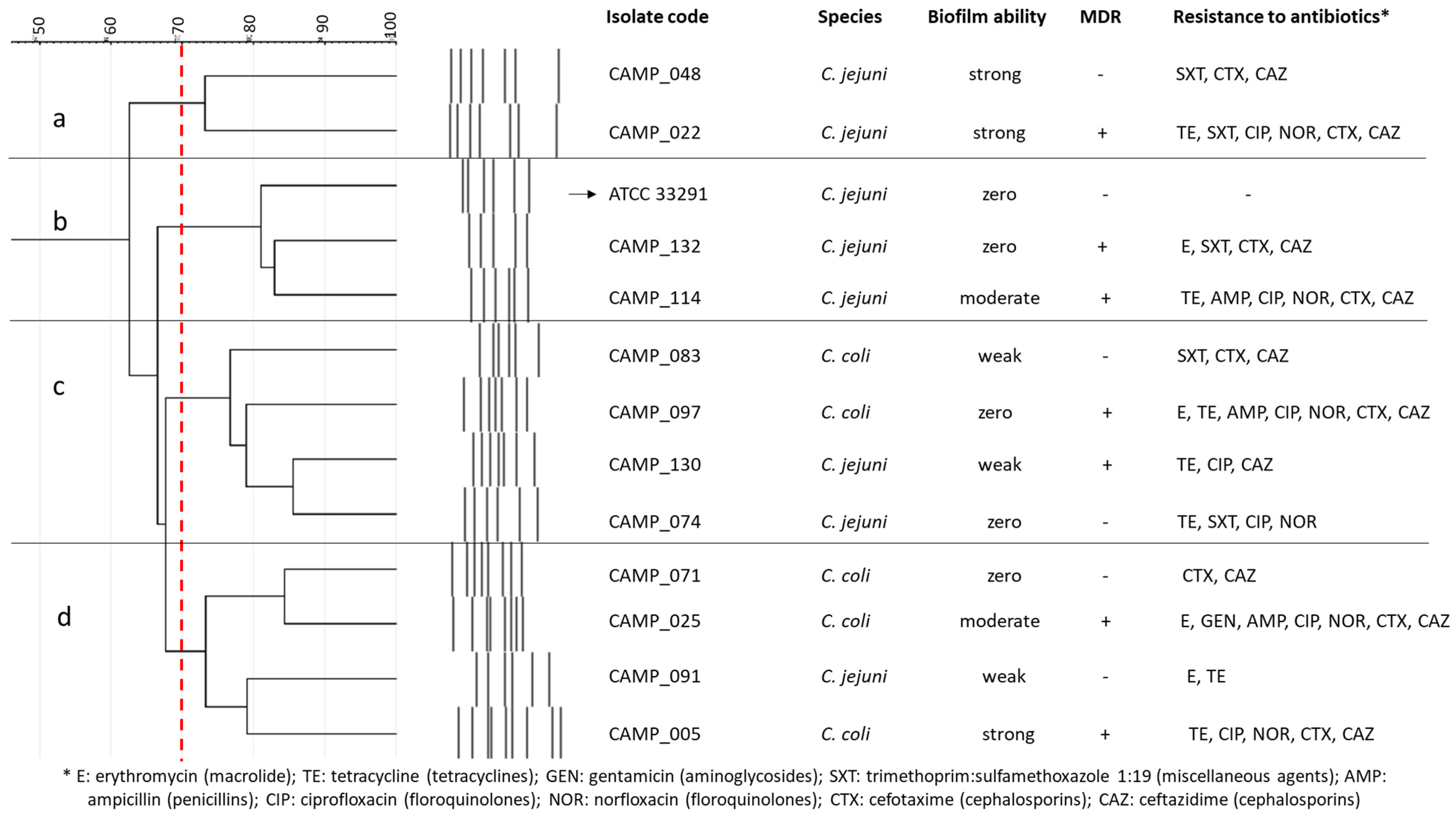 Antibiotics 13 00201 g004