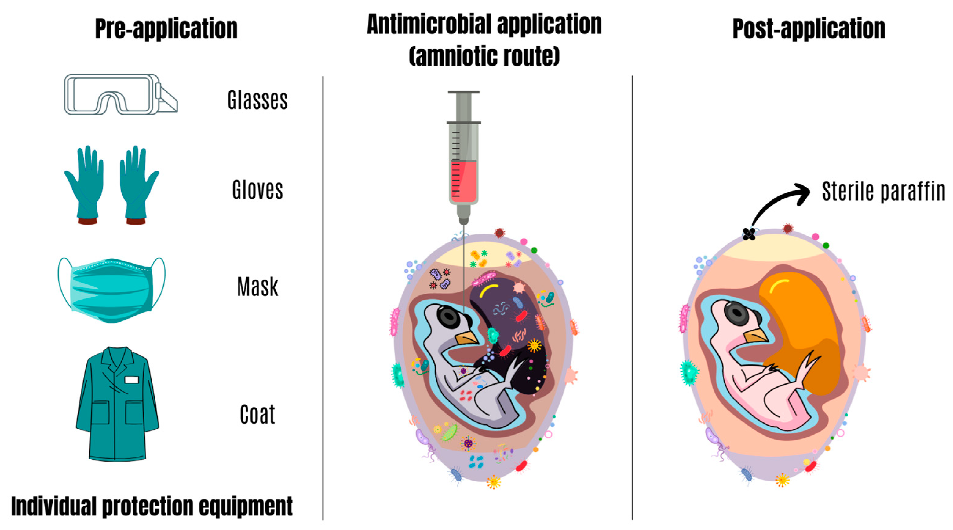 Antibiotics 13 00205 g003