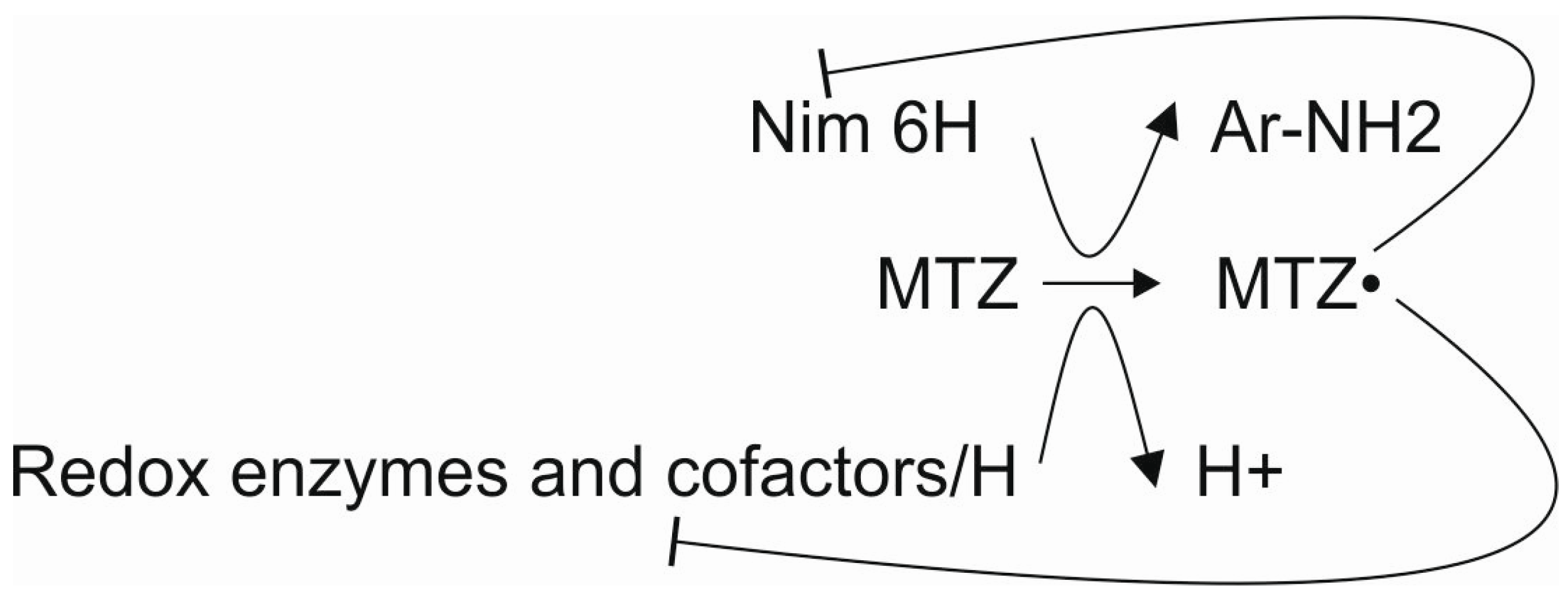 Antibiotics 13 00207 g001 Antibiotics 13 00207 g001