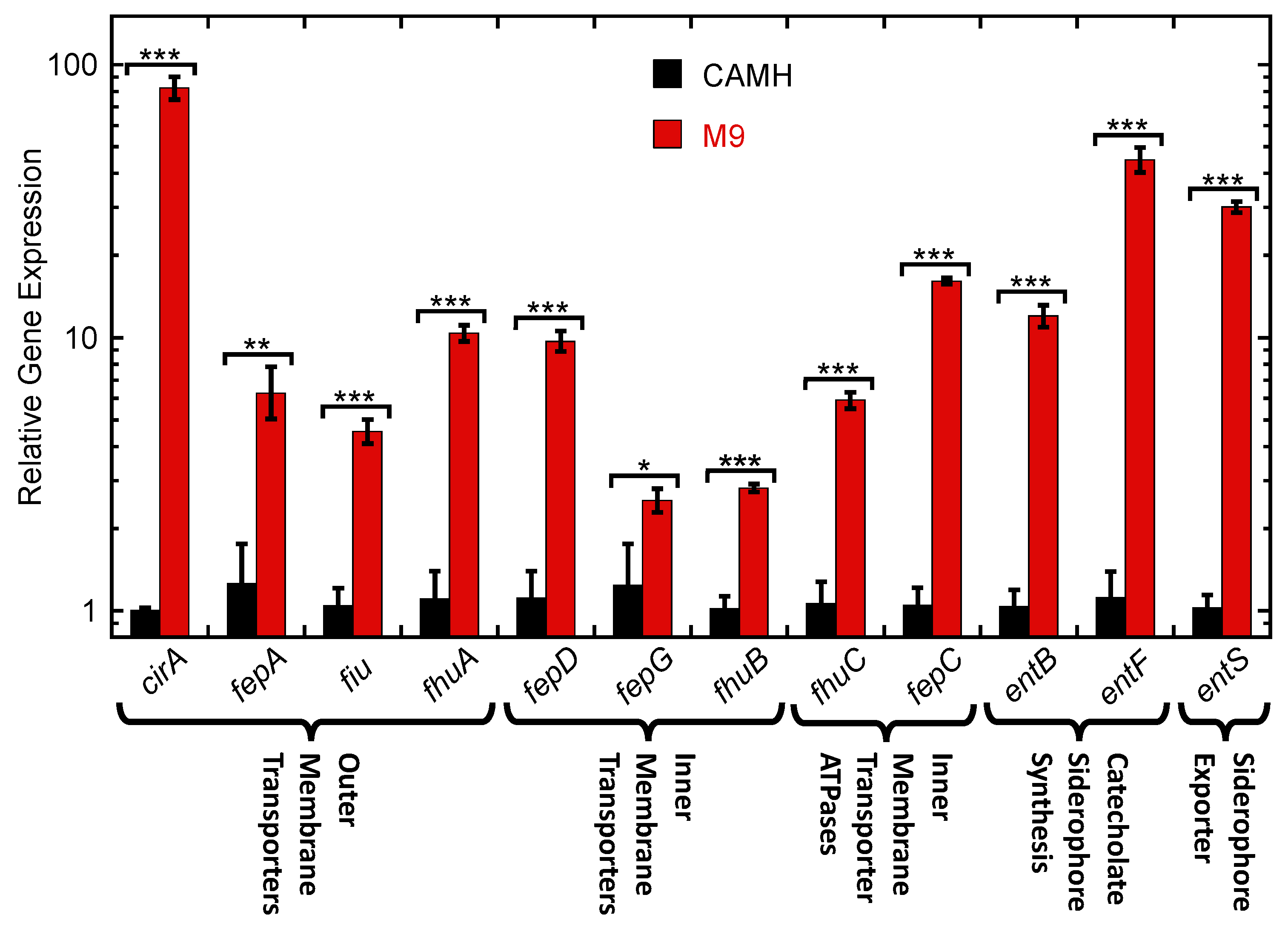 Antibiotics 13 00209 g005