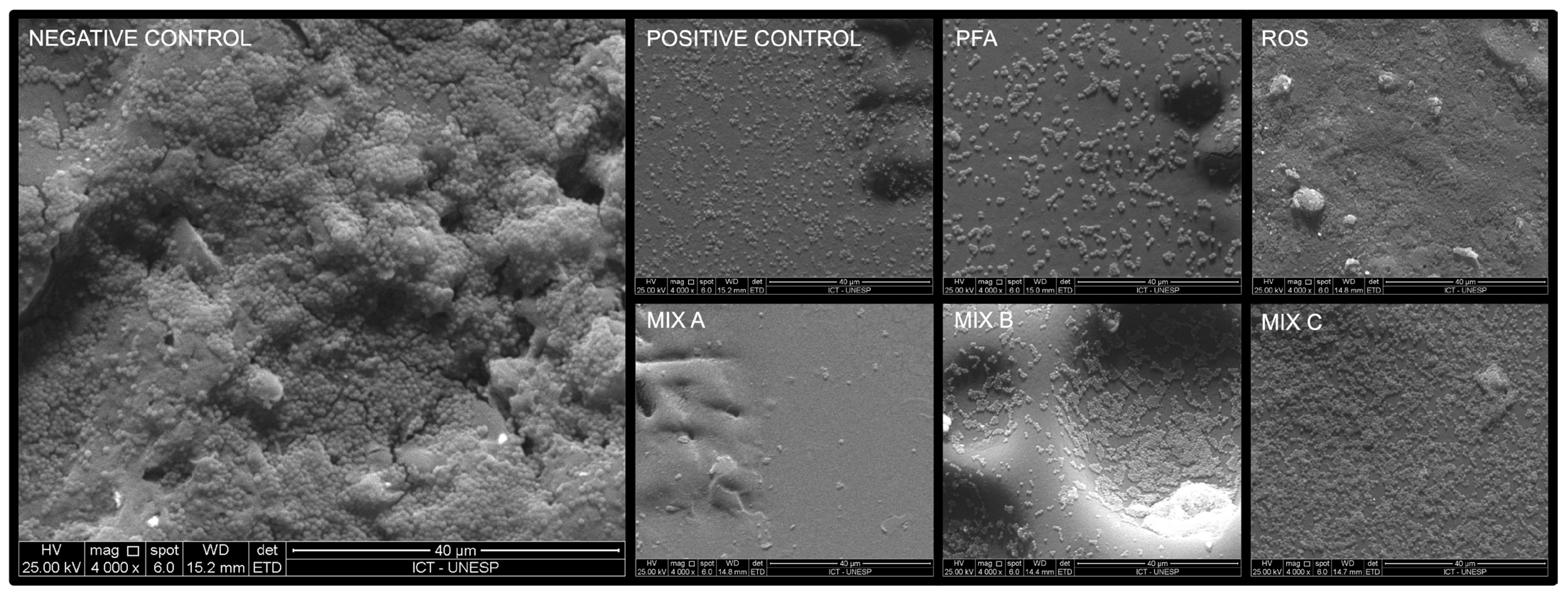 Antibiotics 13 00226 g001