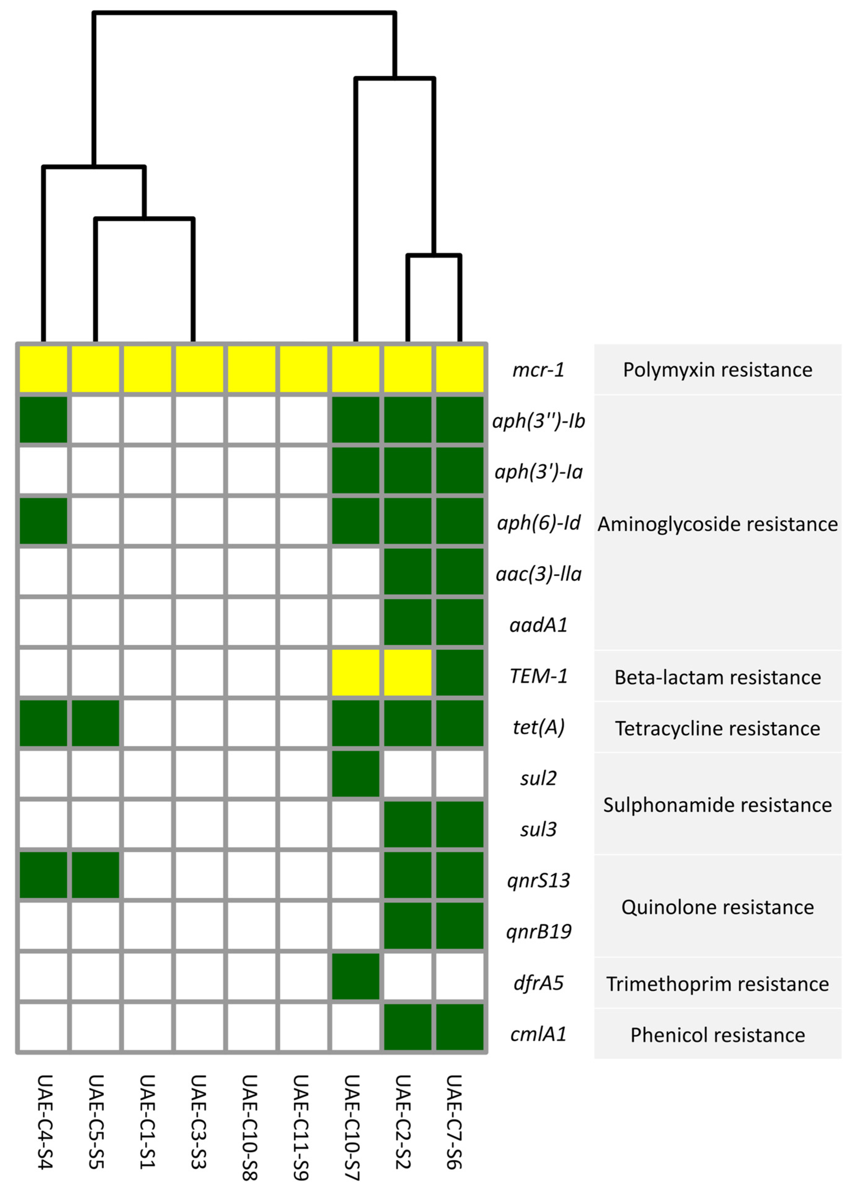 Antibiotics 13 00227 g003