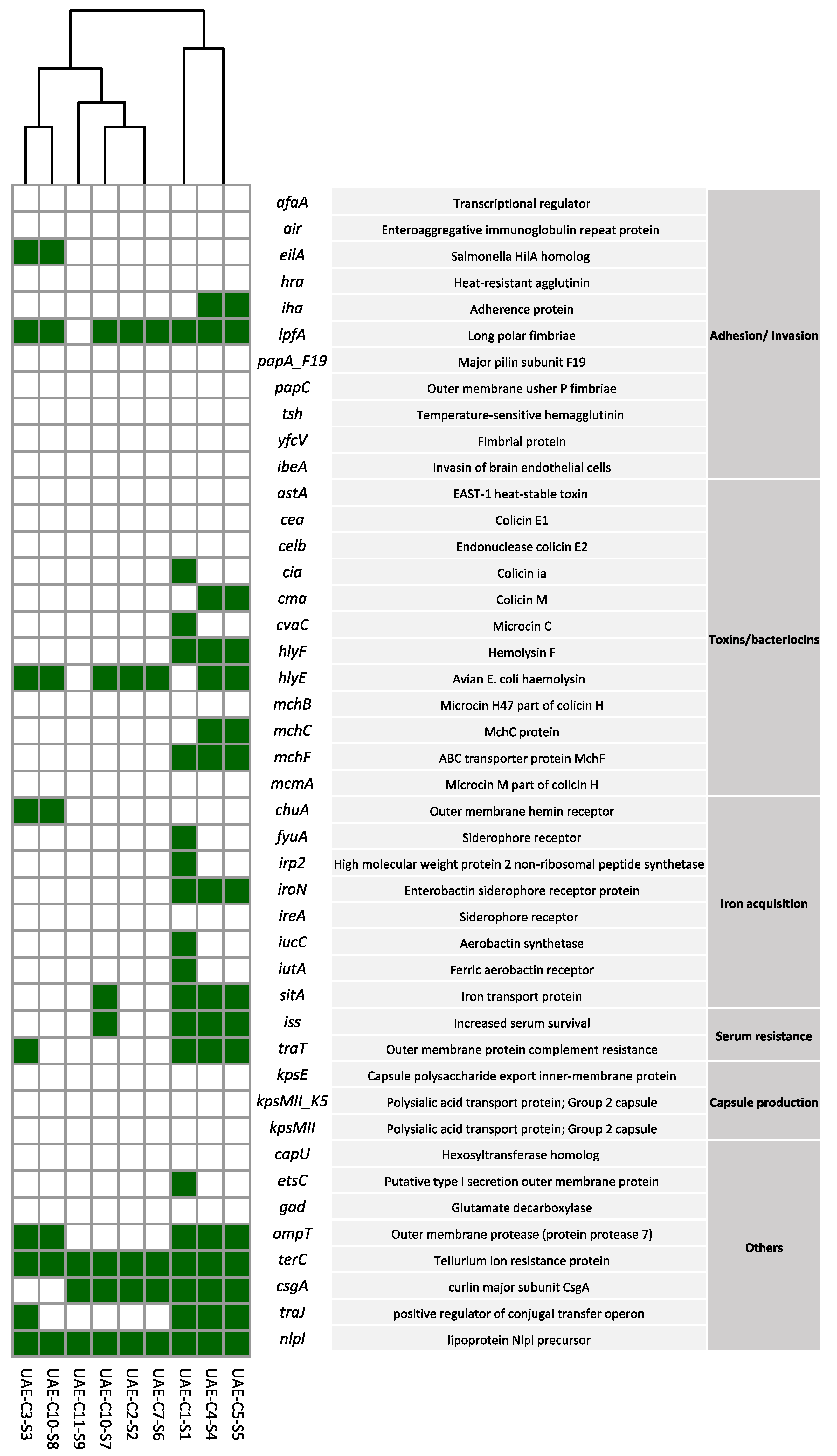 Antibiotics 13 00227 g004