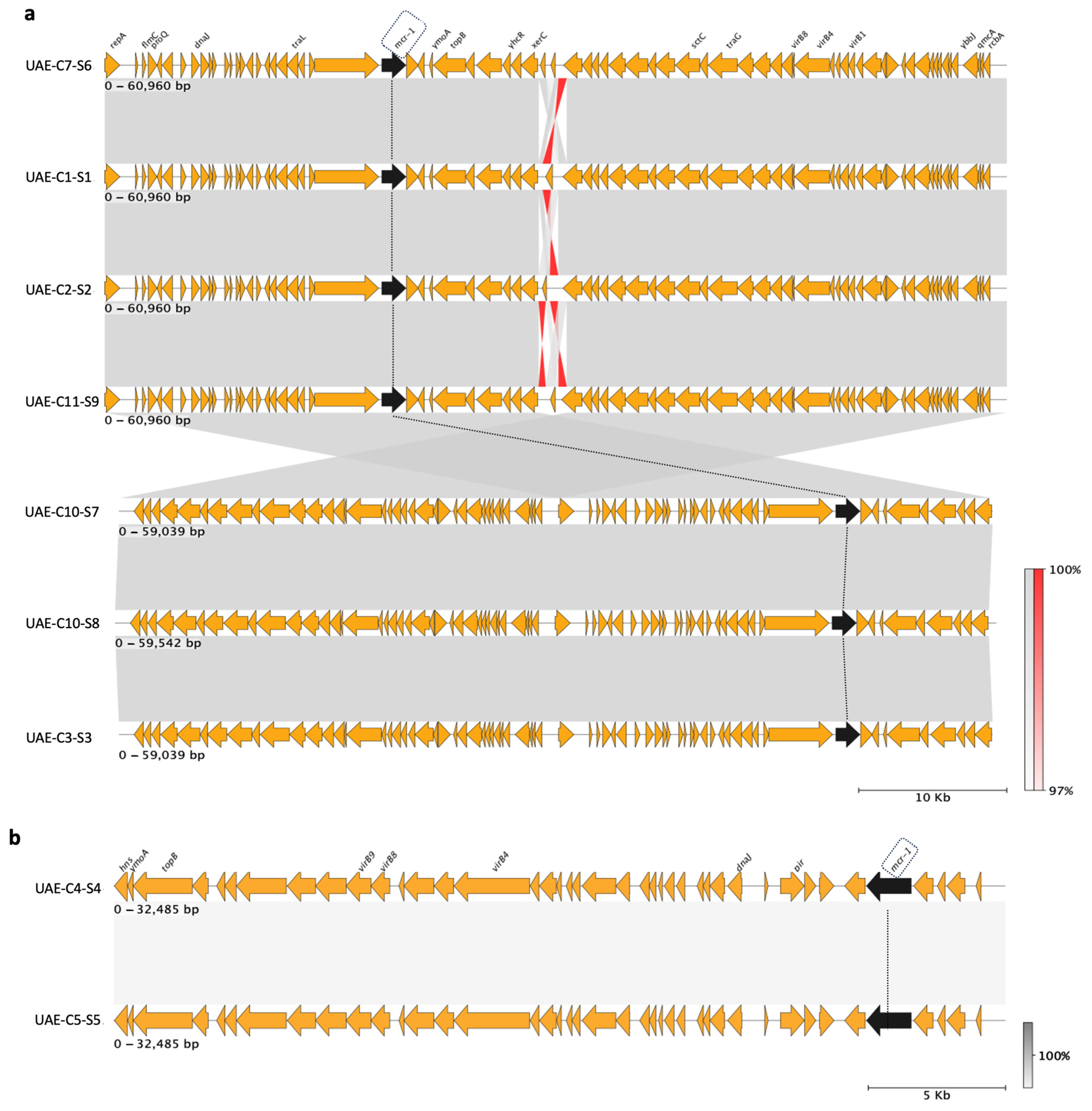 Antibiotics 13 00227 g006