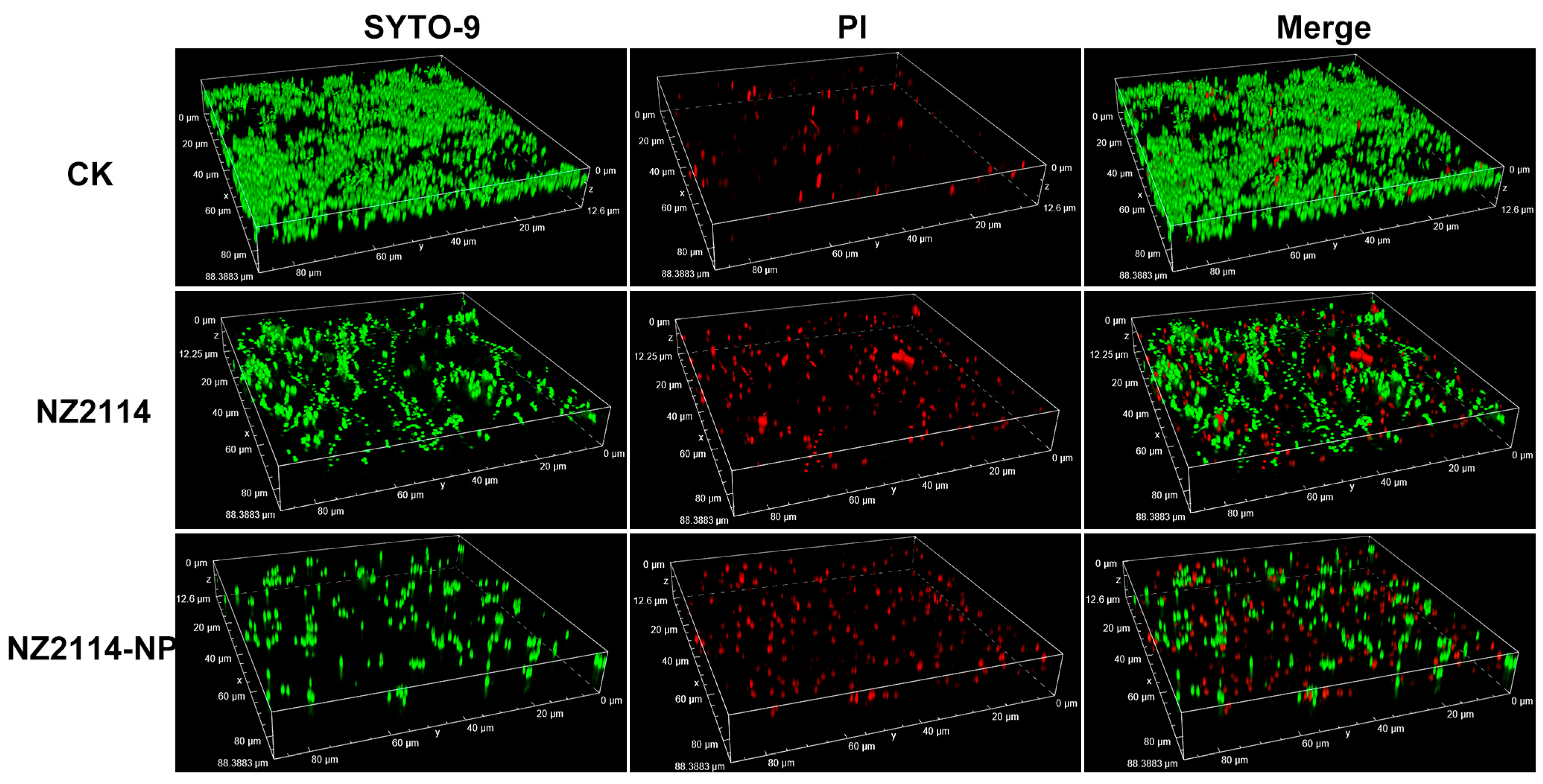 Antibiotics 13 00228 g005