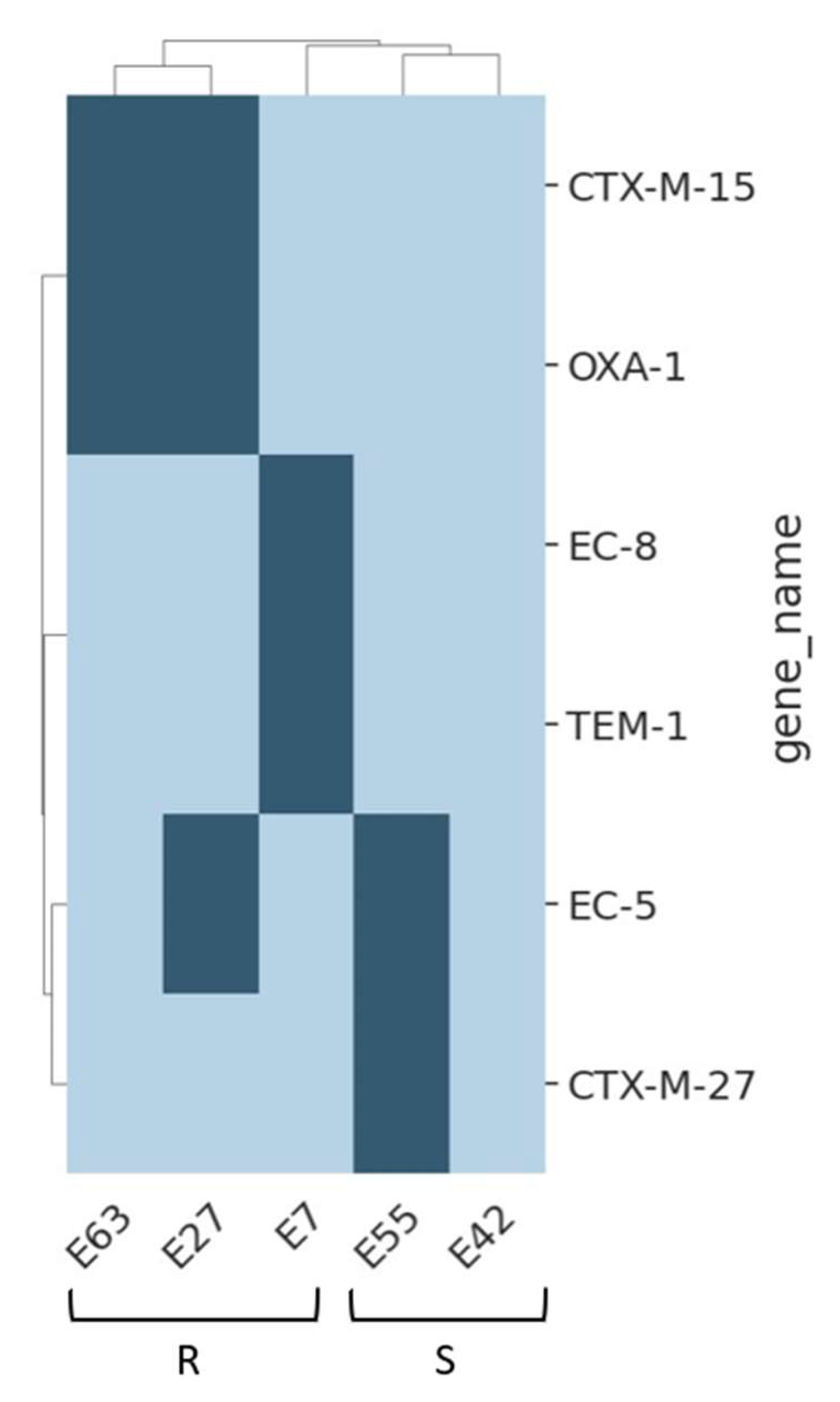 Antibiotics 13 00231 g001