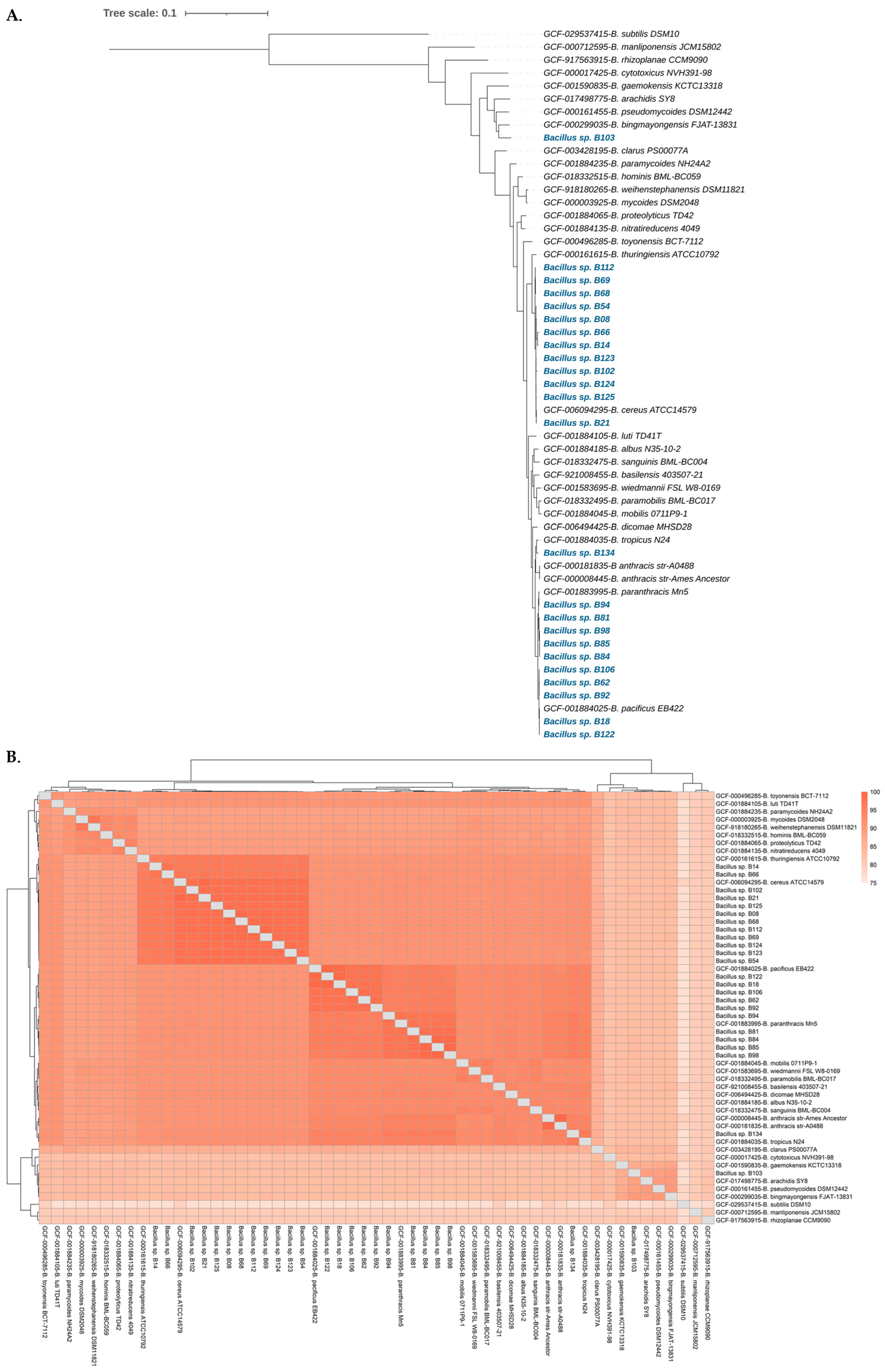 Antibiotics 13 00245 g001 Antibiotics 13 00245 g001