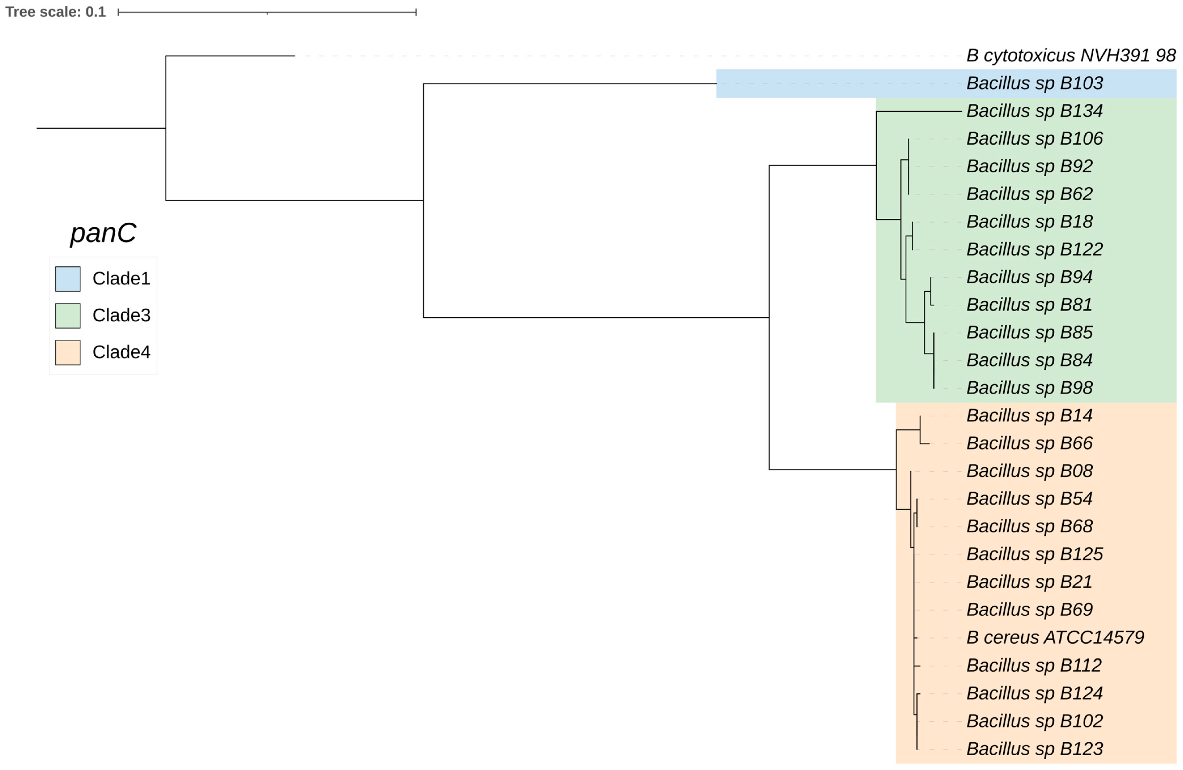Antibiotics 13 00245 g002 Antibiotics 13 00245 g002