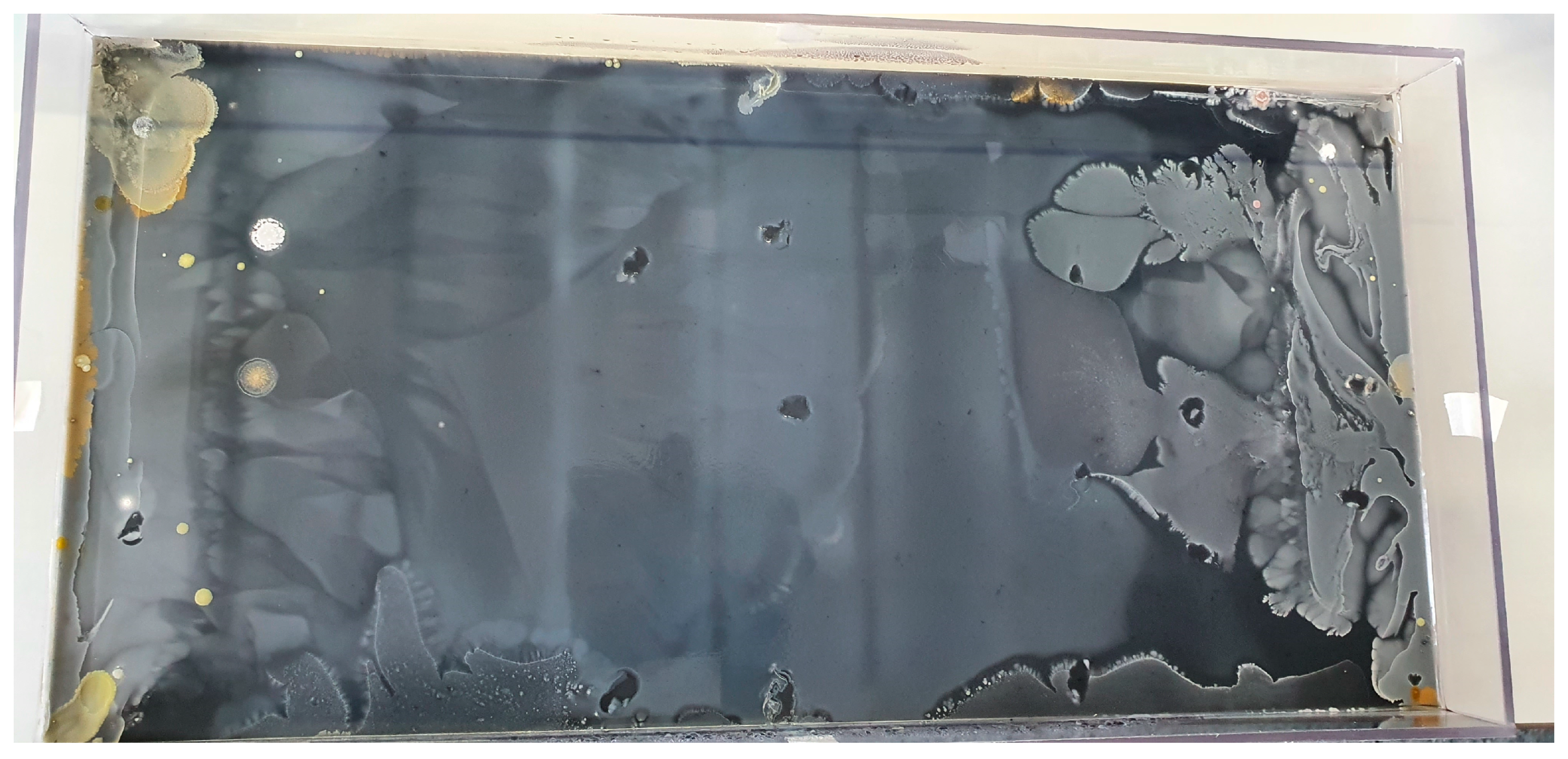 Antibiotics 13 00247 g002 Antibiotics 13 00247 g002