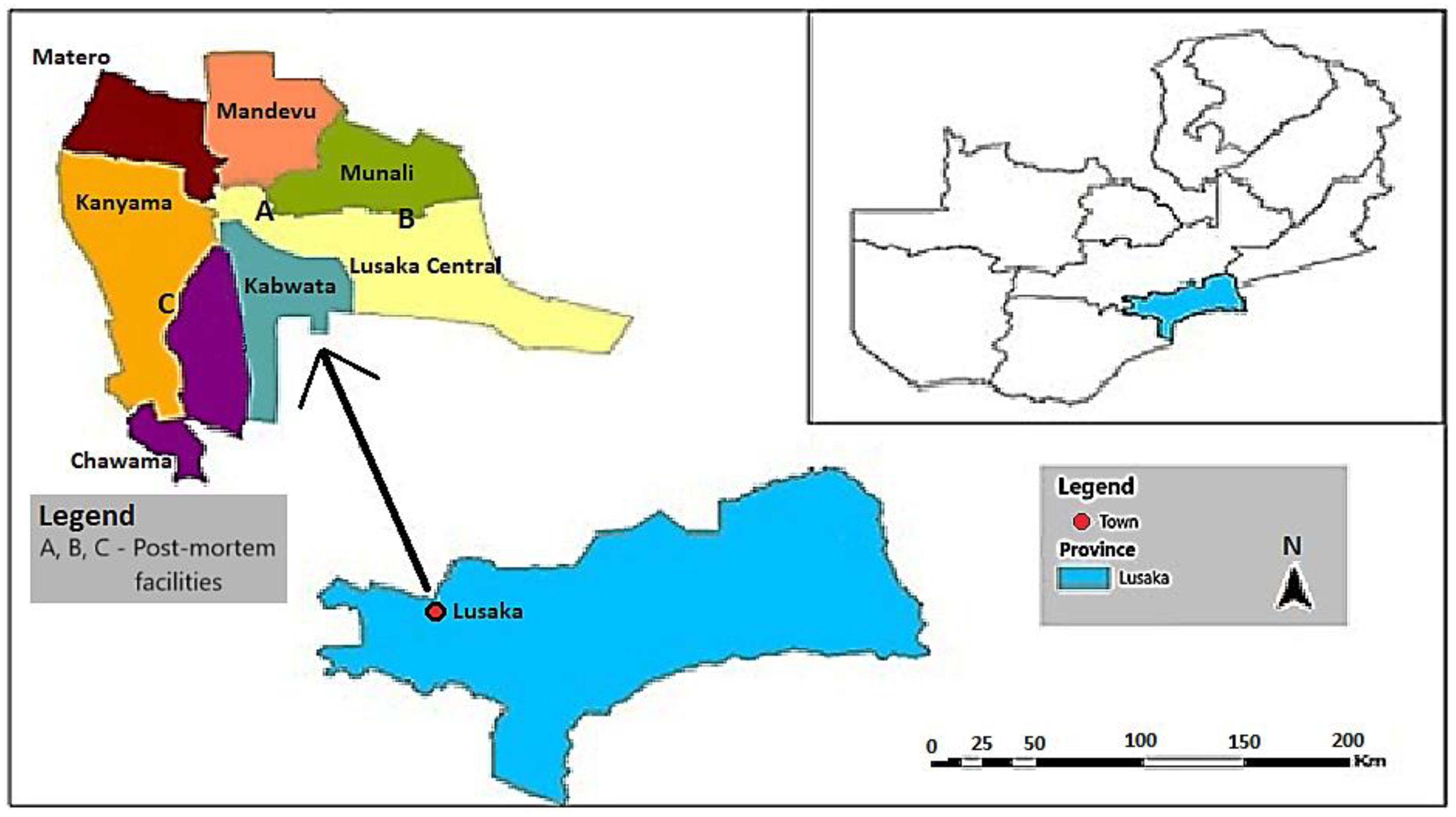 Antibiotics 13 00259 g005