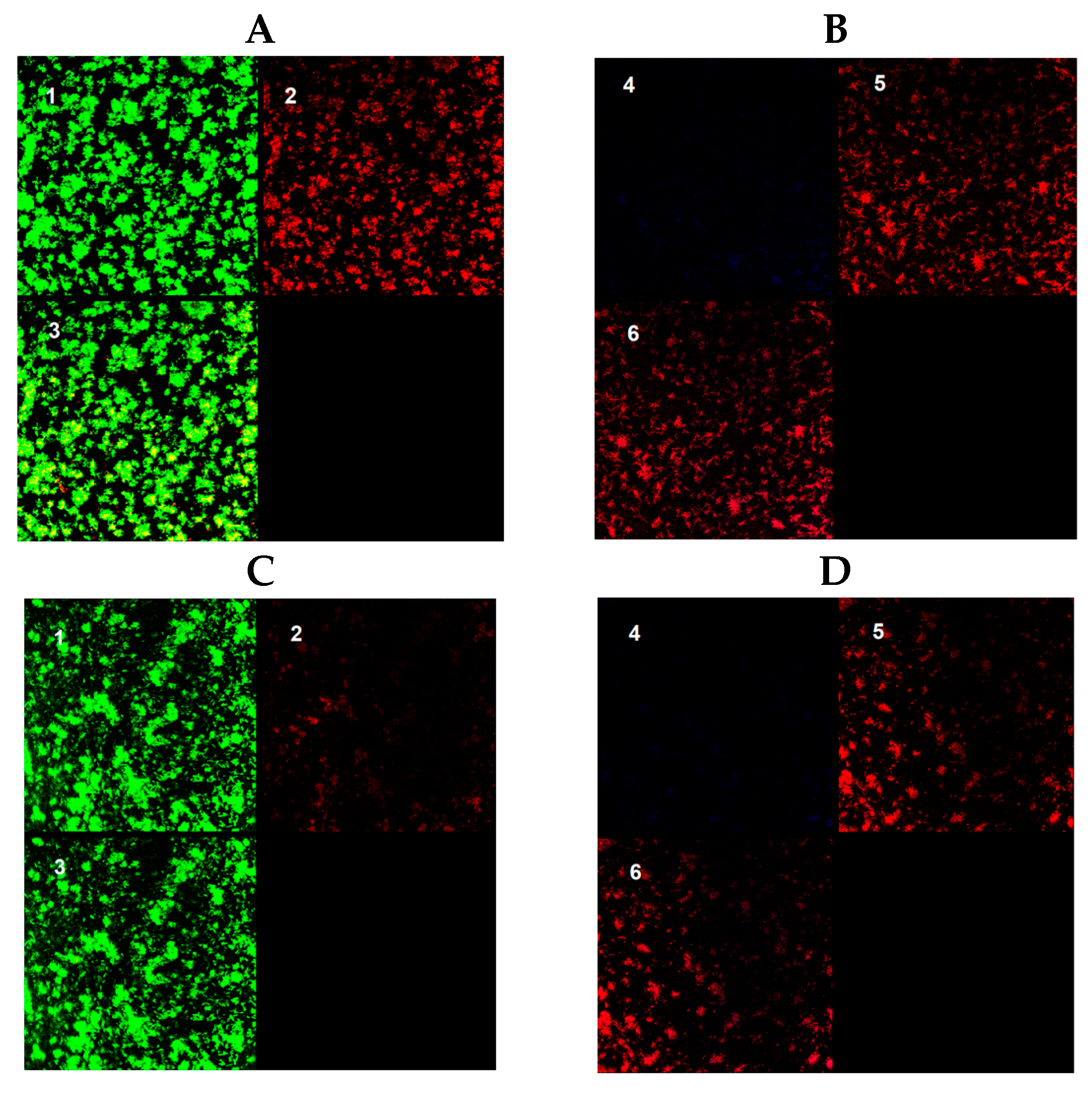 Antibiotics 13 00263 g002
