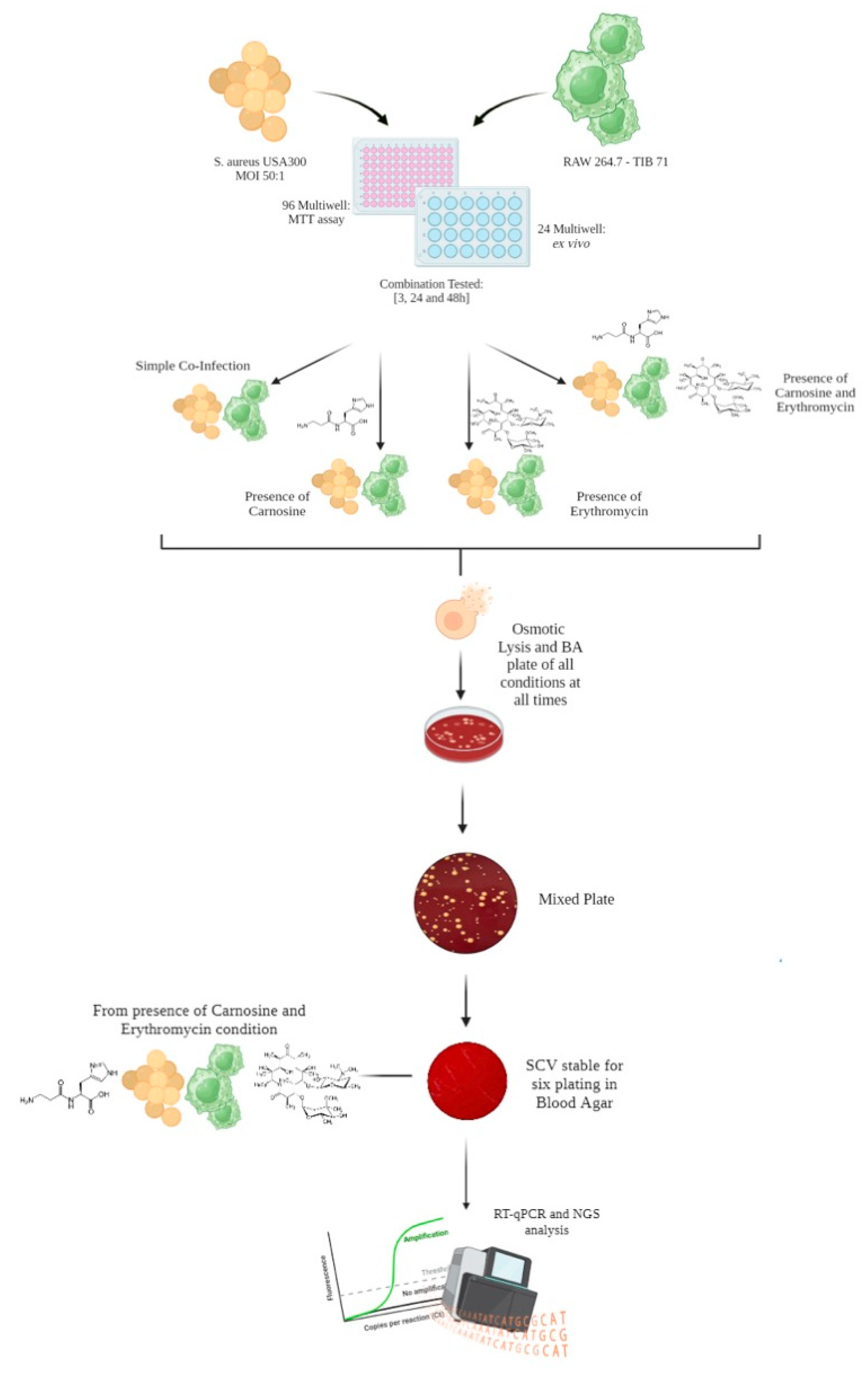 Antibiotics 13 00264 g005