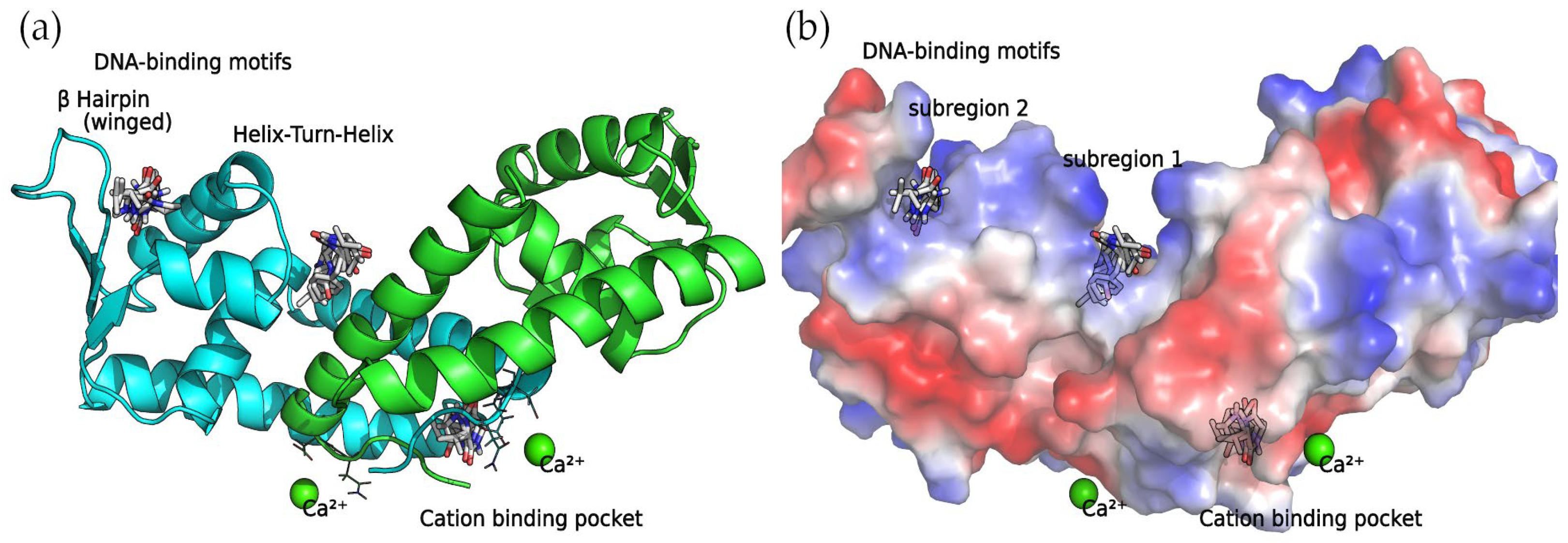 Antibiotics 13 00297 g005