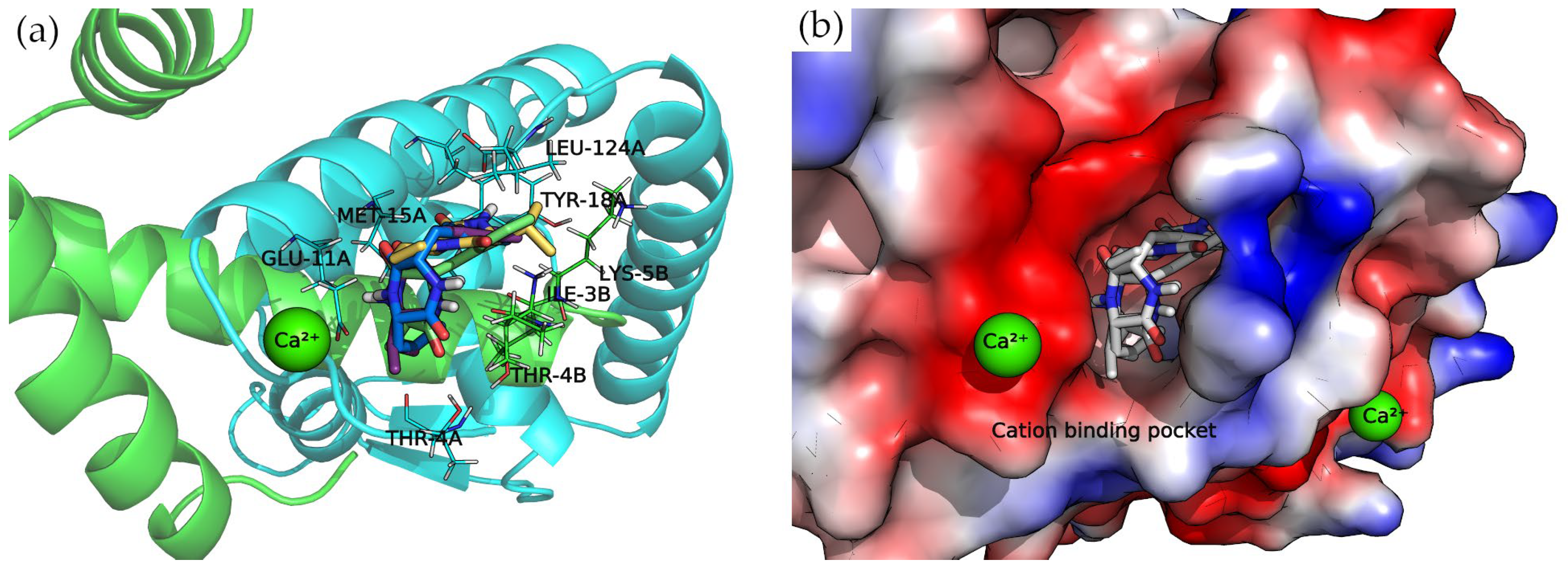 Antibiotics 13 00297 g007