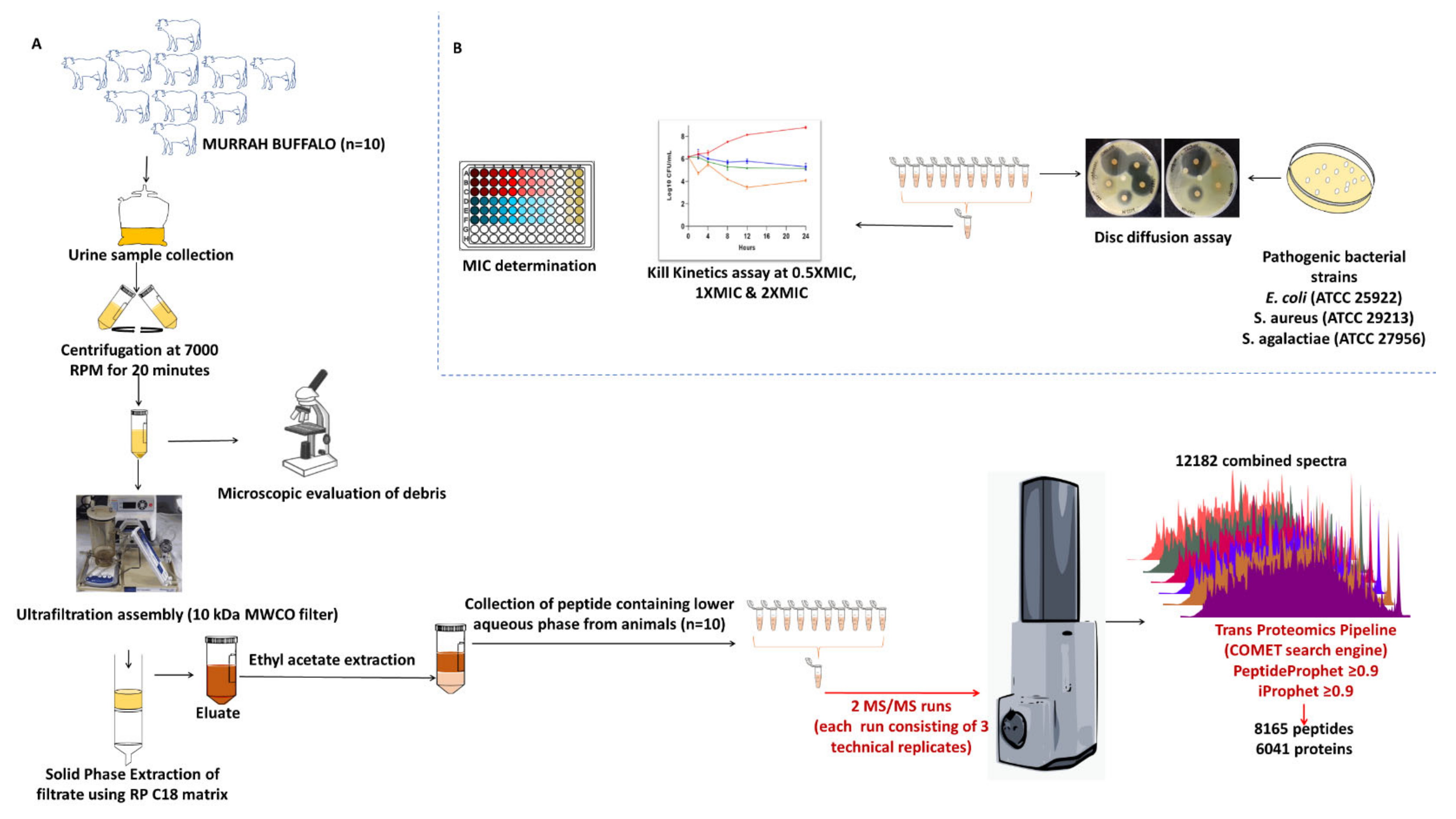 Antibiotics 13 00299 g001 Antibiotics 13 00299 g001